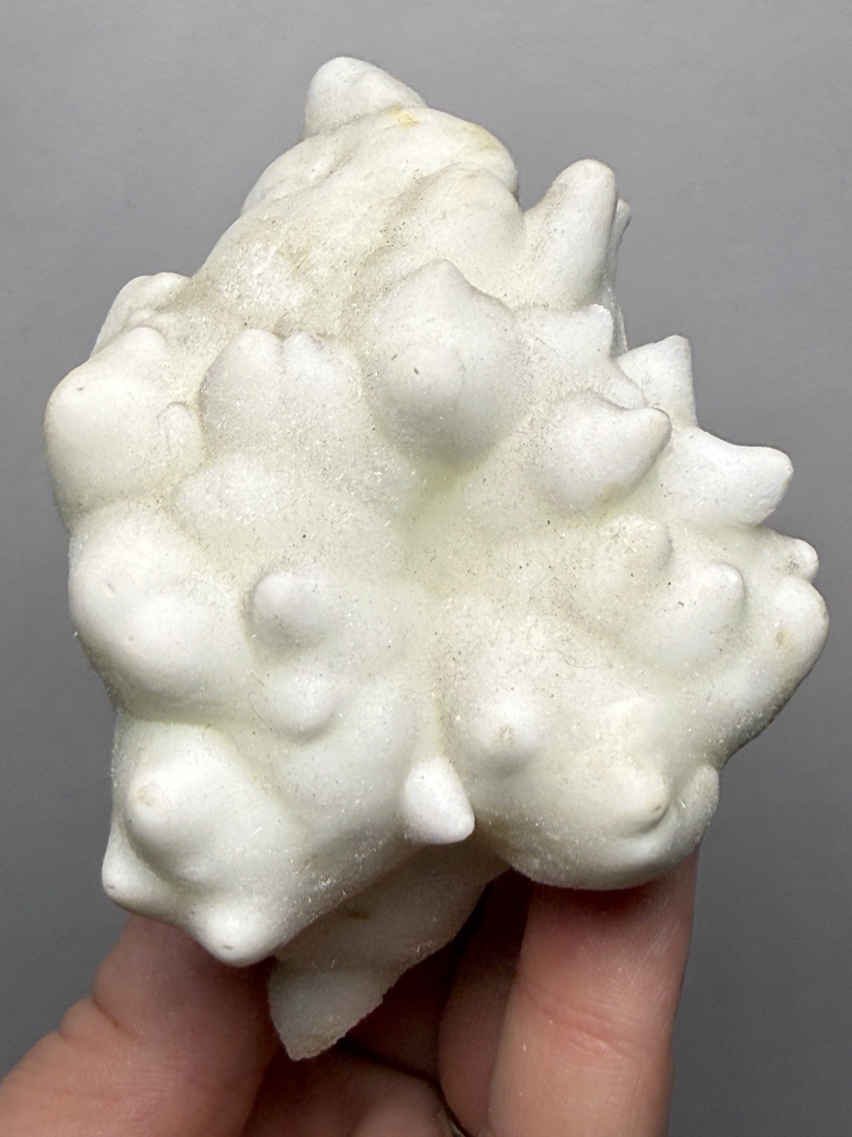 Superb White Flos Ferri Aragonite “Flower of Iron” | Lom Vitošov, Czech Republic