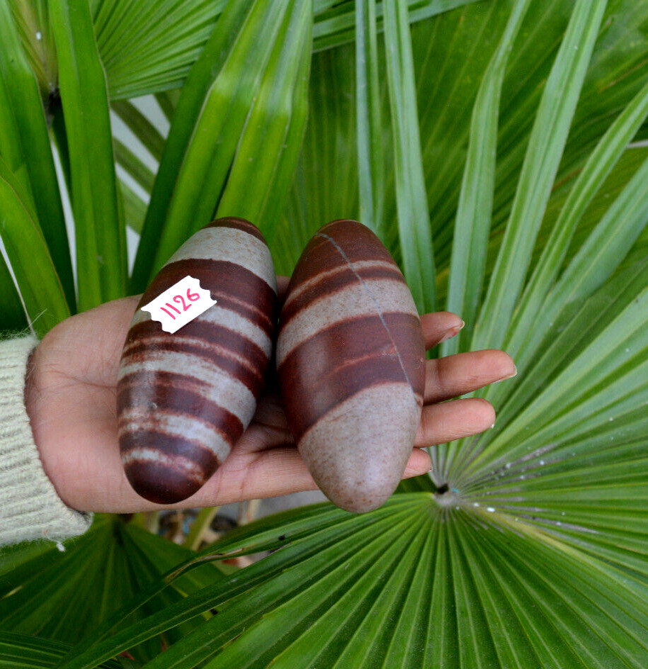 Shiva Lingam Polished Stone | Narmarda River Stone -1126