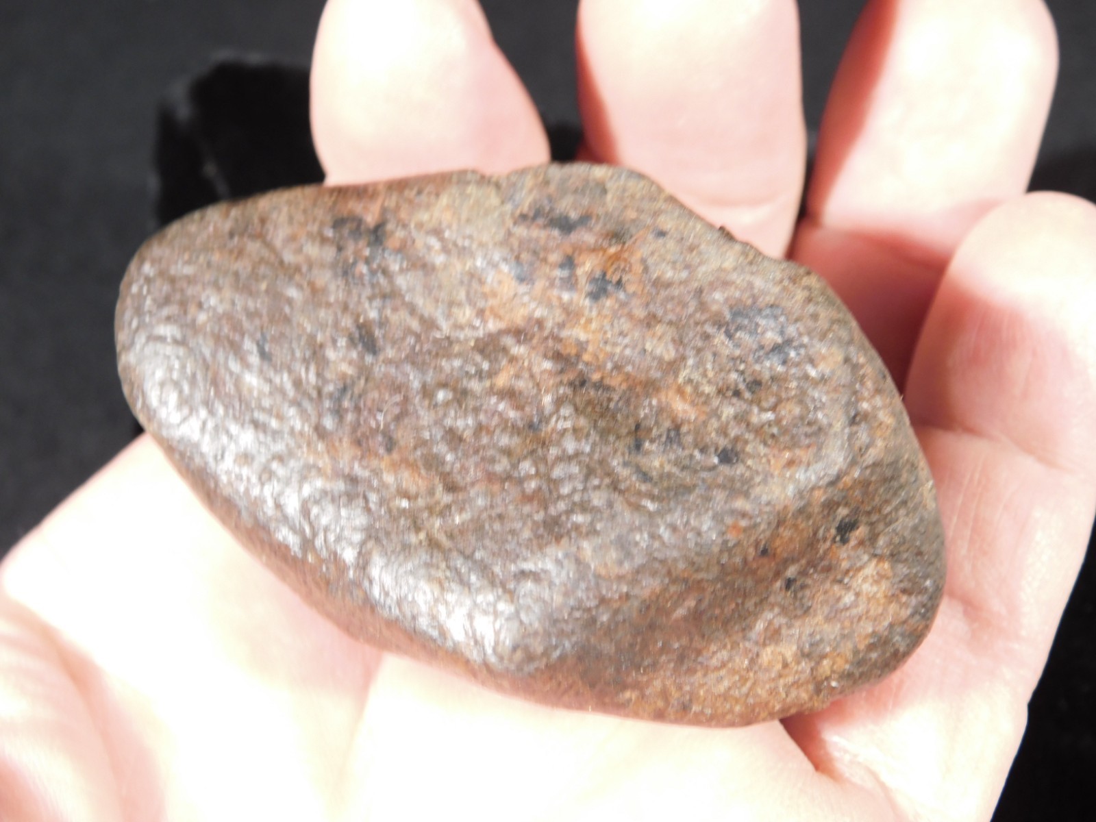 Nice! and 100% Natural Stony METEORITE FELL in Libya 181gr