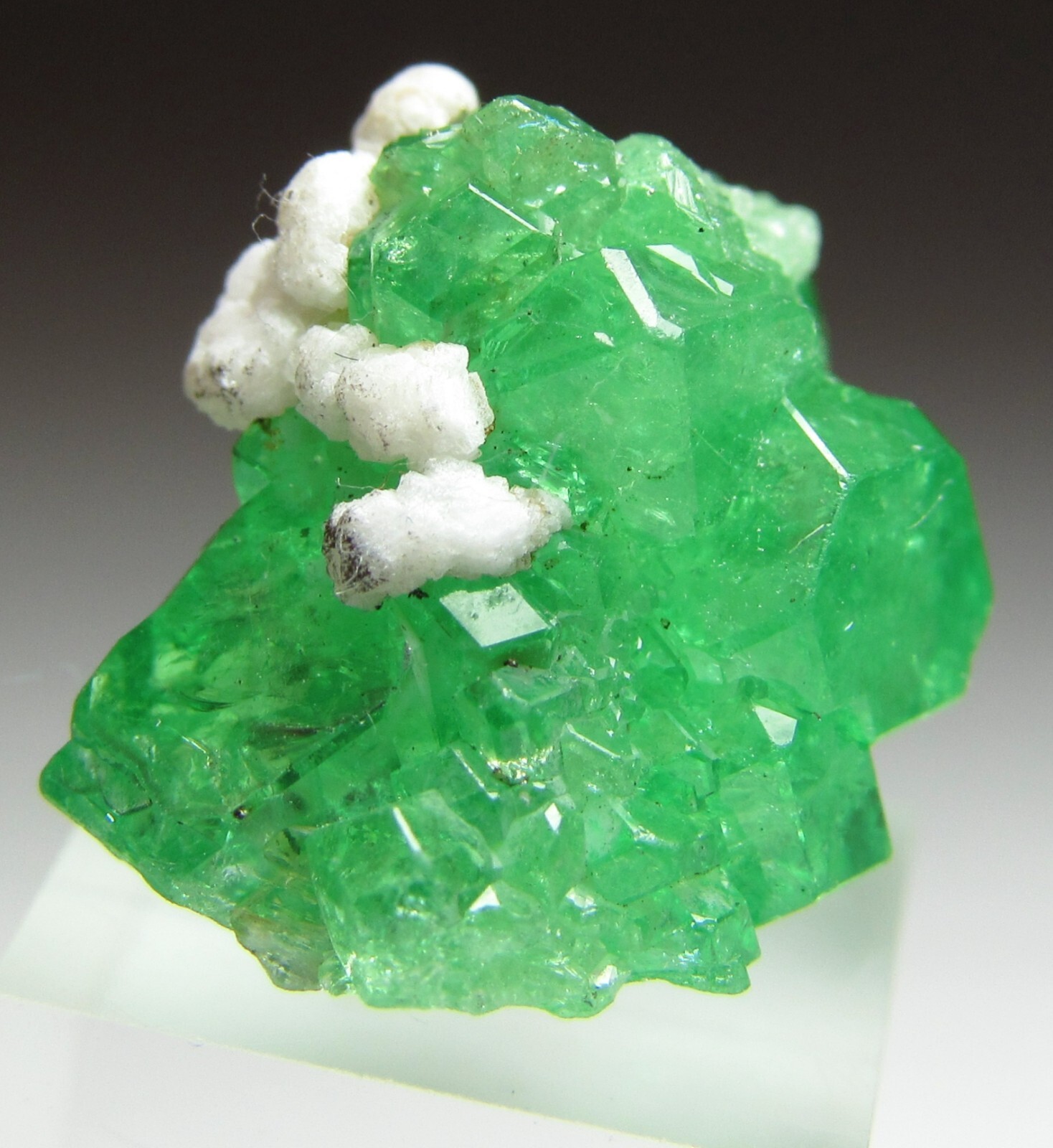 FASCINATING GEOMETRIC GEM TSAVORITE GROSSULAR GARNET CRYSTAL!!! TANZANIA