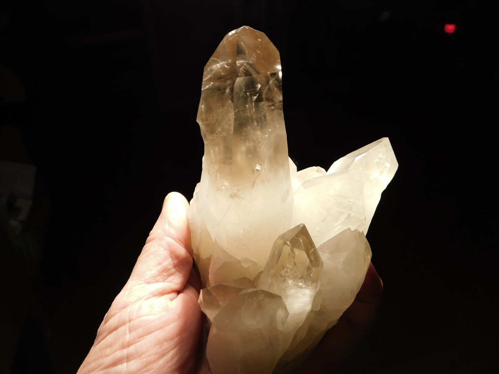 BIG! Free Standing! SMOKY Quartz Crystal Cluster From Brazil 792gr