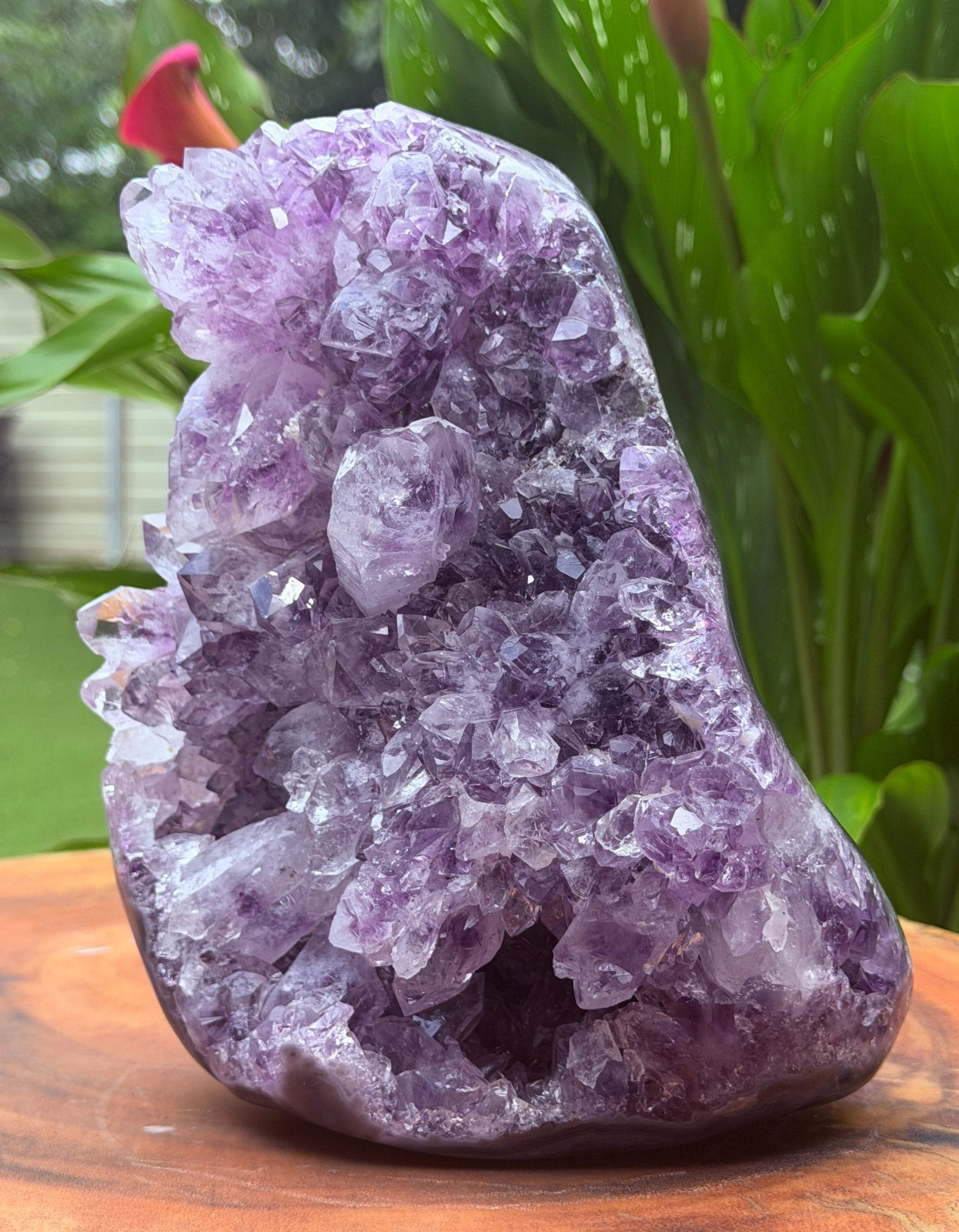 Massive Museum Grade Amethyst Geode Specimen 3.49kg Serra do Sol Brazil
