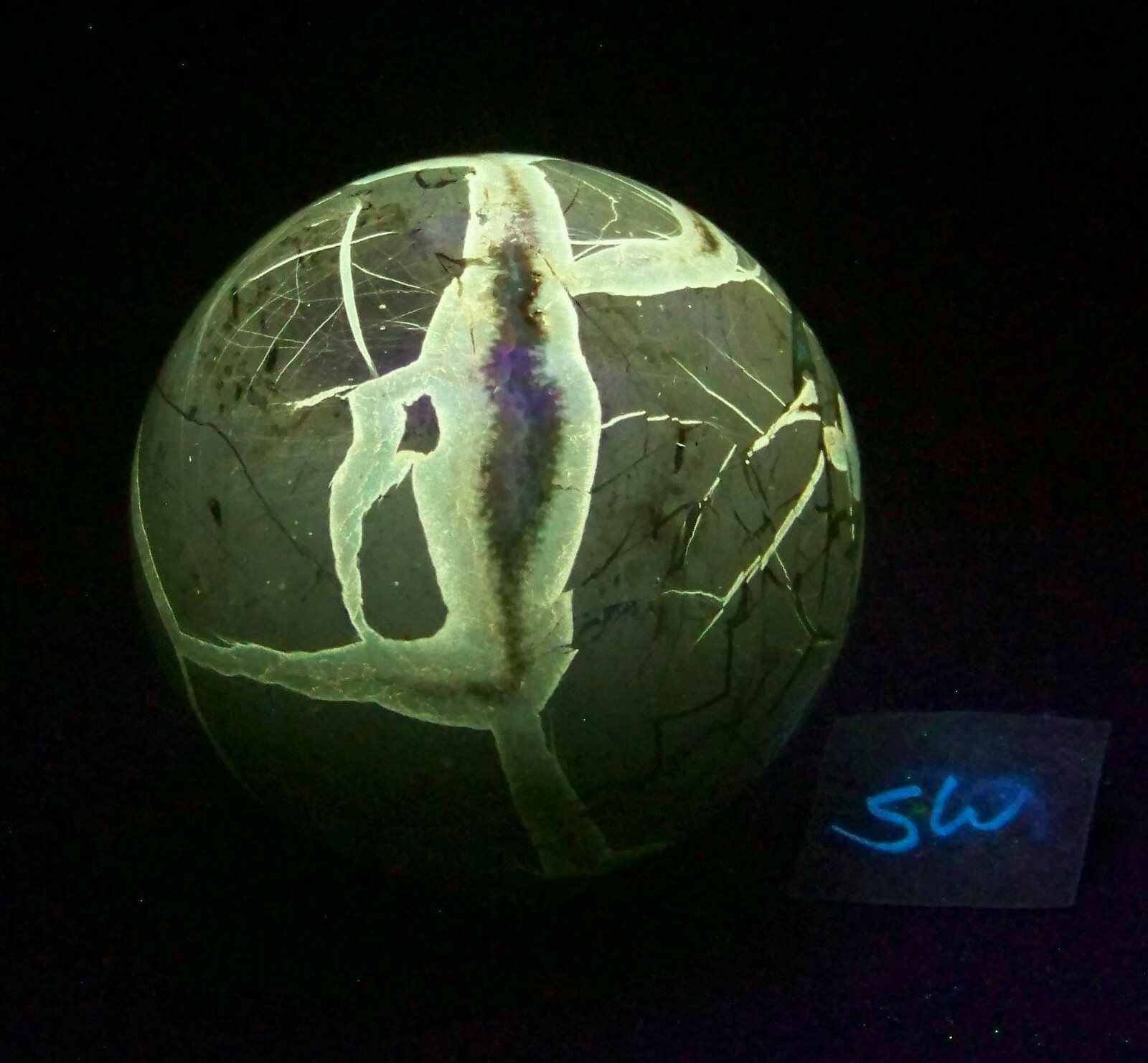 Fluorescent Septarian Nodule Sphere 76mm Collectible or Meditation Ball 4510