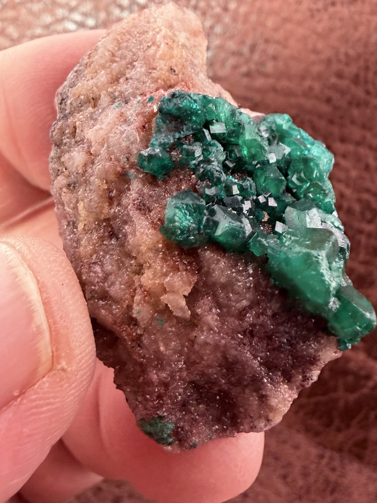 Emerald Green Dioptase Crystal Cluster from the Congo in Africa 22.6 g.