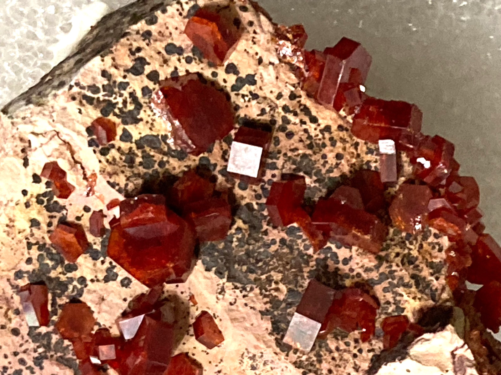 Africa Minerals- Selenite Rose, Celestite, Vanadinite