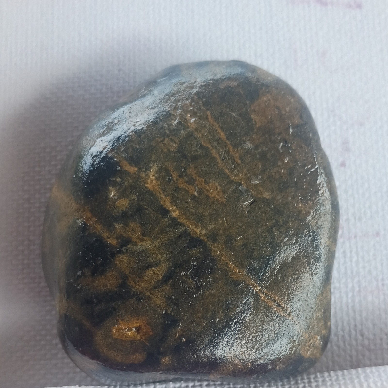 Polished Dark Brown Black Stone Mineral Specimen With Brown Veining Display
