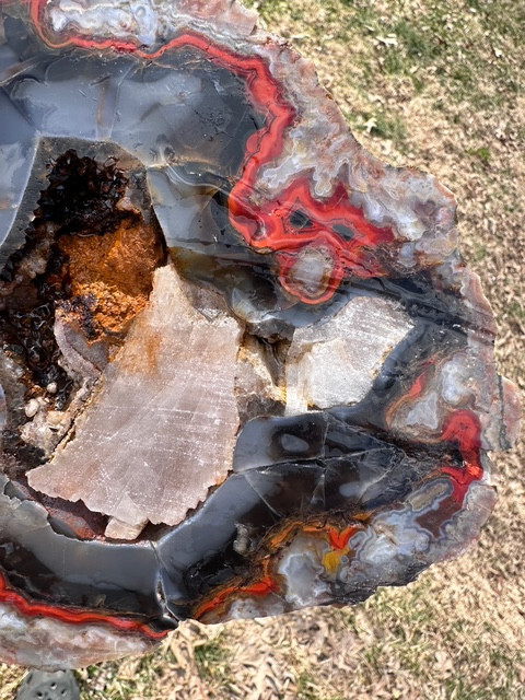 8 1/8”__Beautiful Imperial Kentucky Agate Slab from Estill County