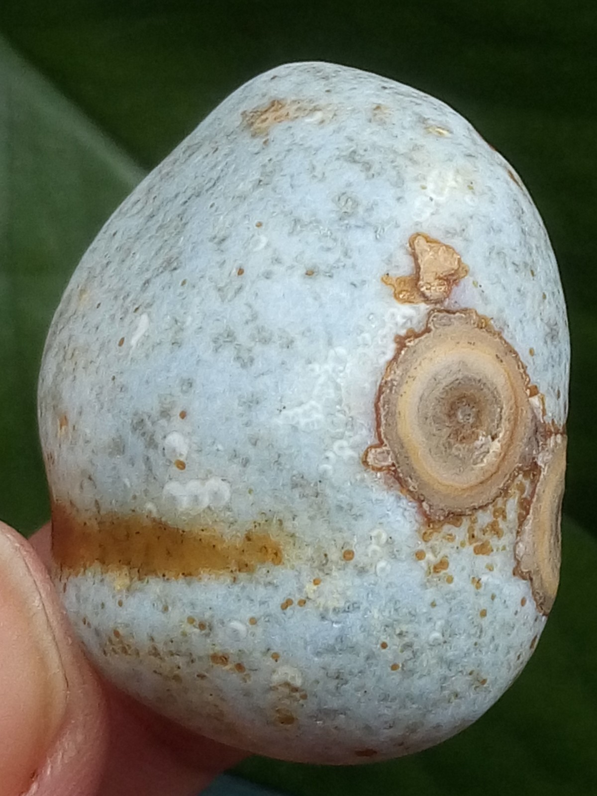 36mm Beautiful Natural Gobi agate eye agate stone collection