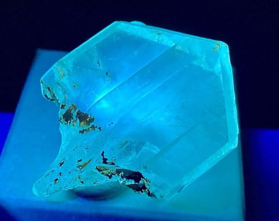 Gypsum (Var: Selenite) Red River Floodway, Winnipeg, Canada Weighs: 13.43 Grams
