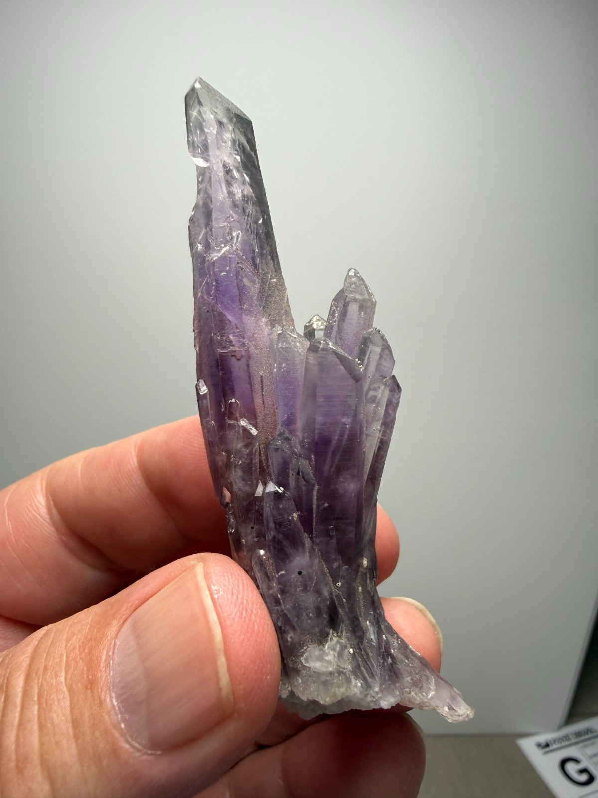 OLD STOCK Amethyst cluster from Guerrero, Mexico- SUPER DEAL $79!!!