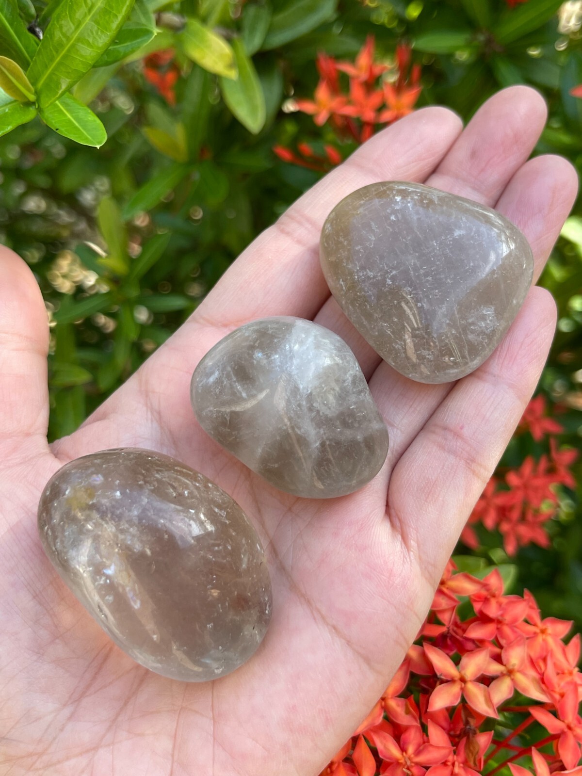 Smoky Quartz Pebble, 1-2 Inches Large Tumbled Smoky Quartz, Pick How Many