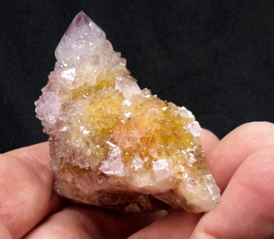 2″ CACTUS QUARTZ AMETHYST AMETRINE from Mpumalanga, South Africa