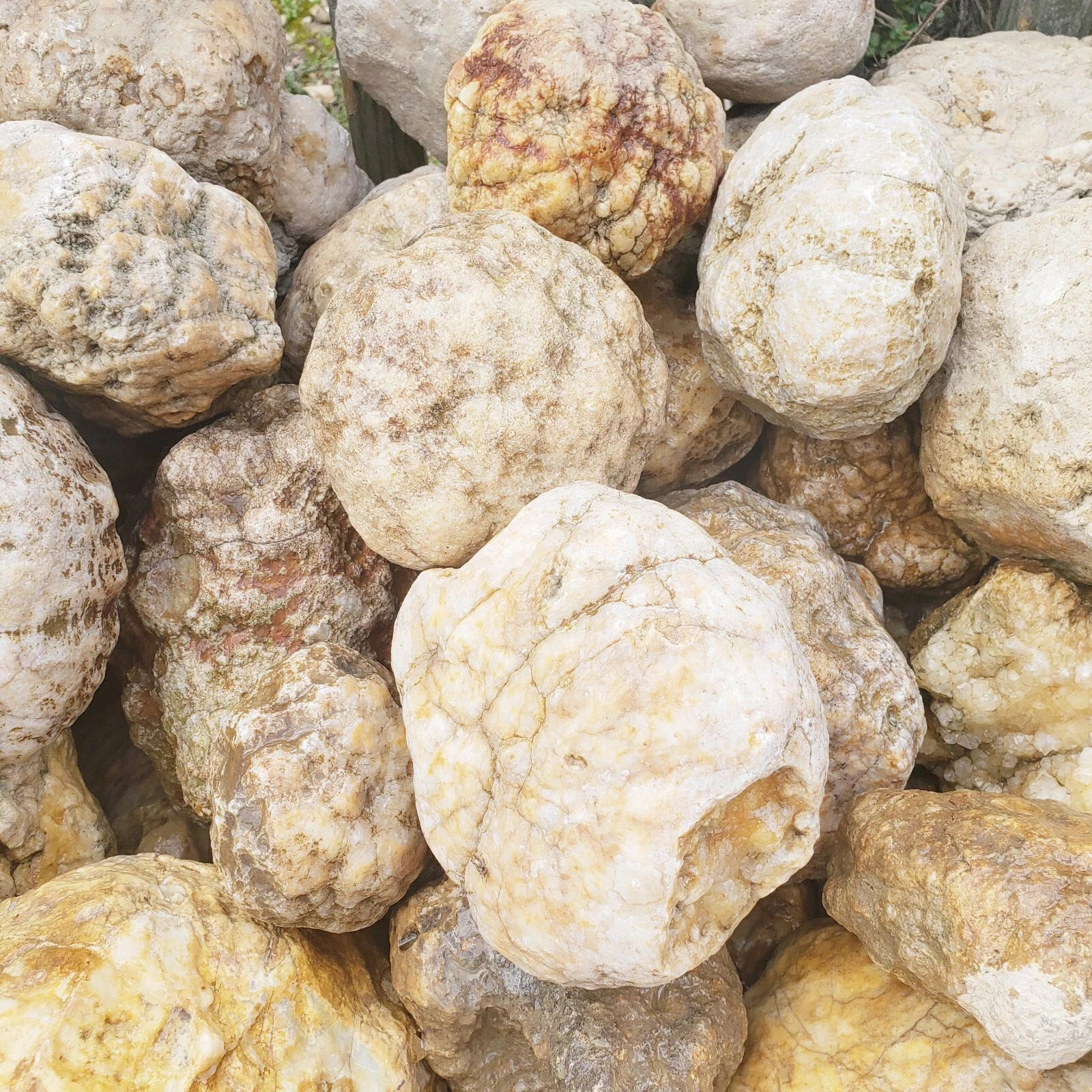 9 lb Kentucky Geode Lot of 14 – Rattler Included – Crack Your Own Crystals