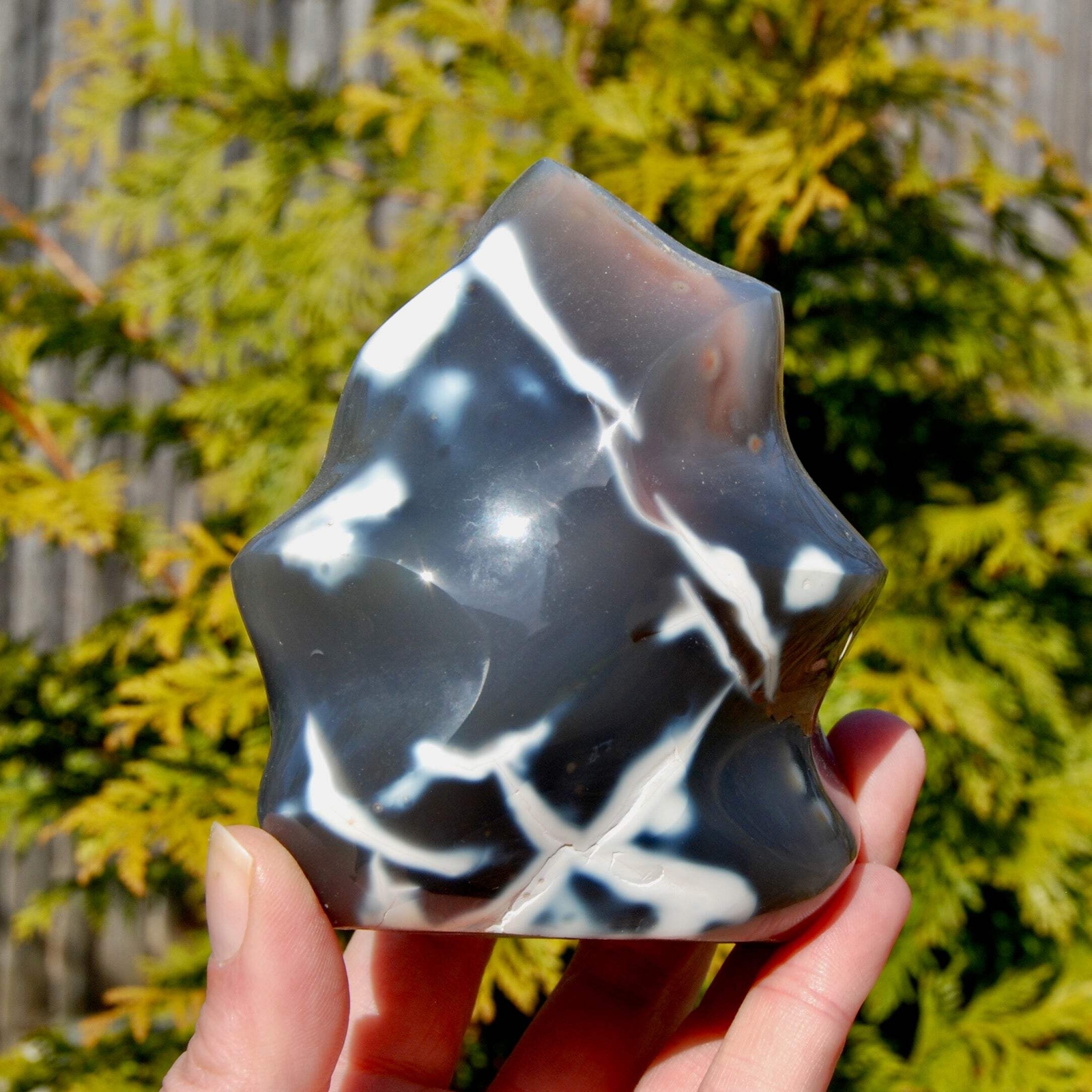 4.25in 1.5lb Orca Agate Crystal Flame Tower