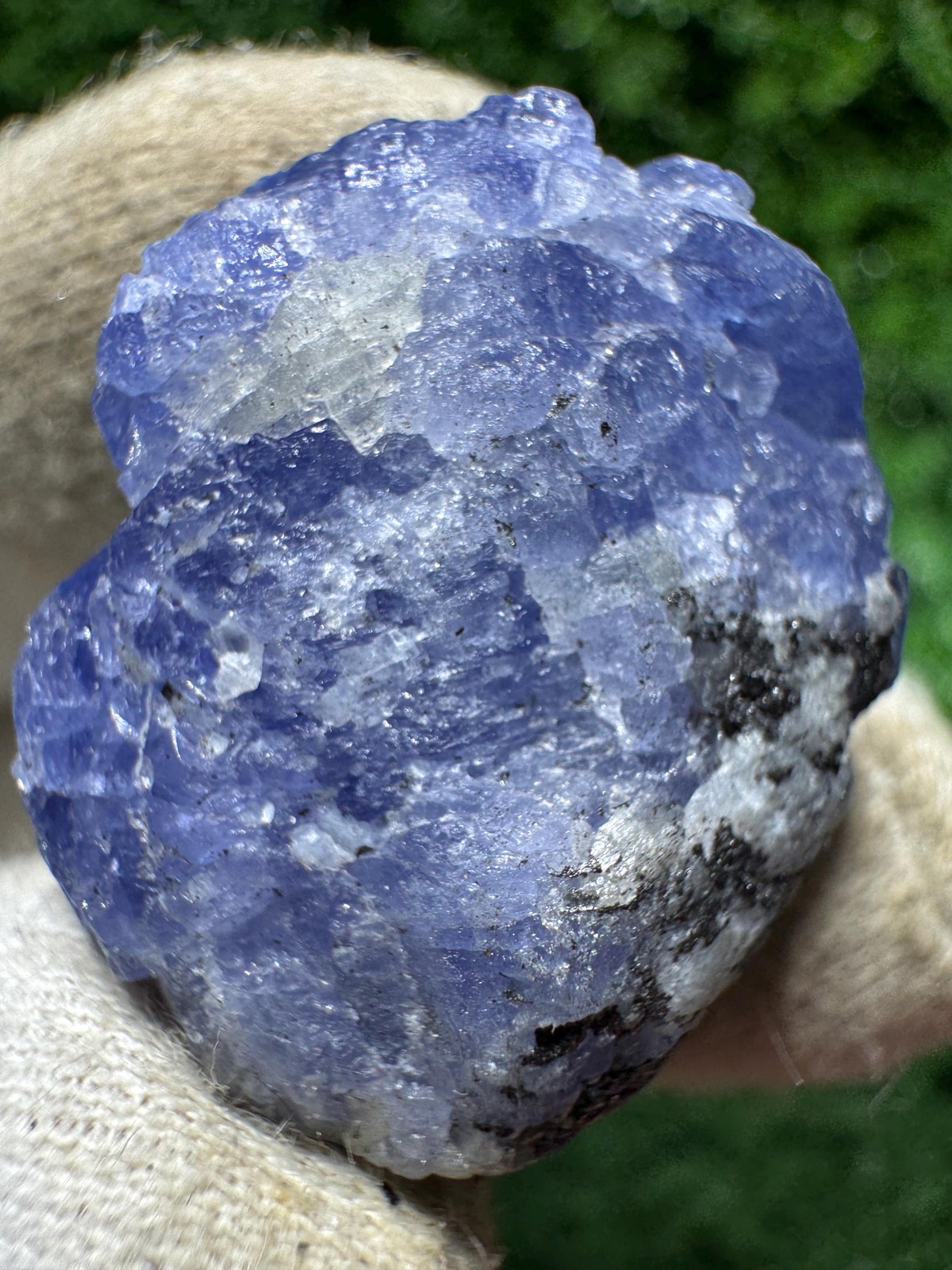Lovely TANZANITE Crystal with COLOR CHANGE under yellow/white light / N384