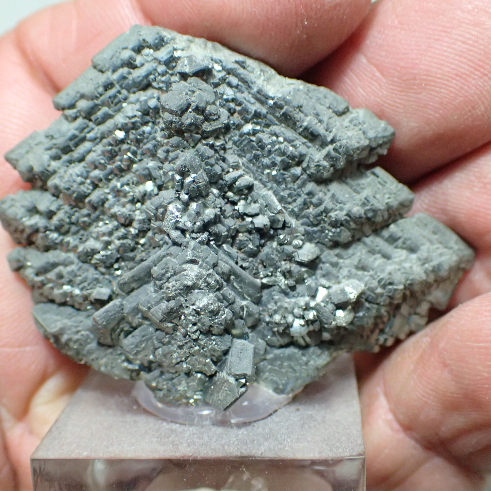 Marcasite, Nove Sedlo, Czech Republic