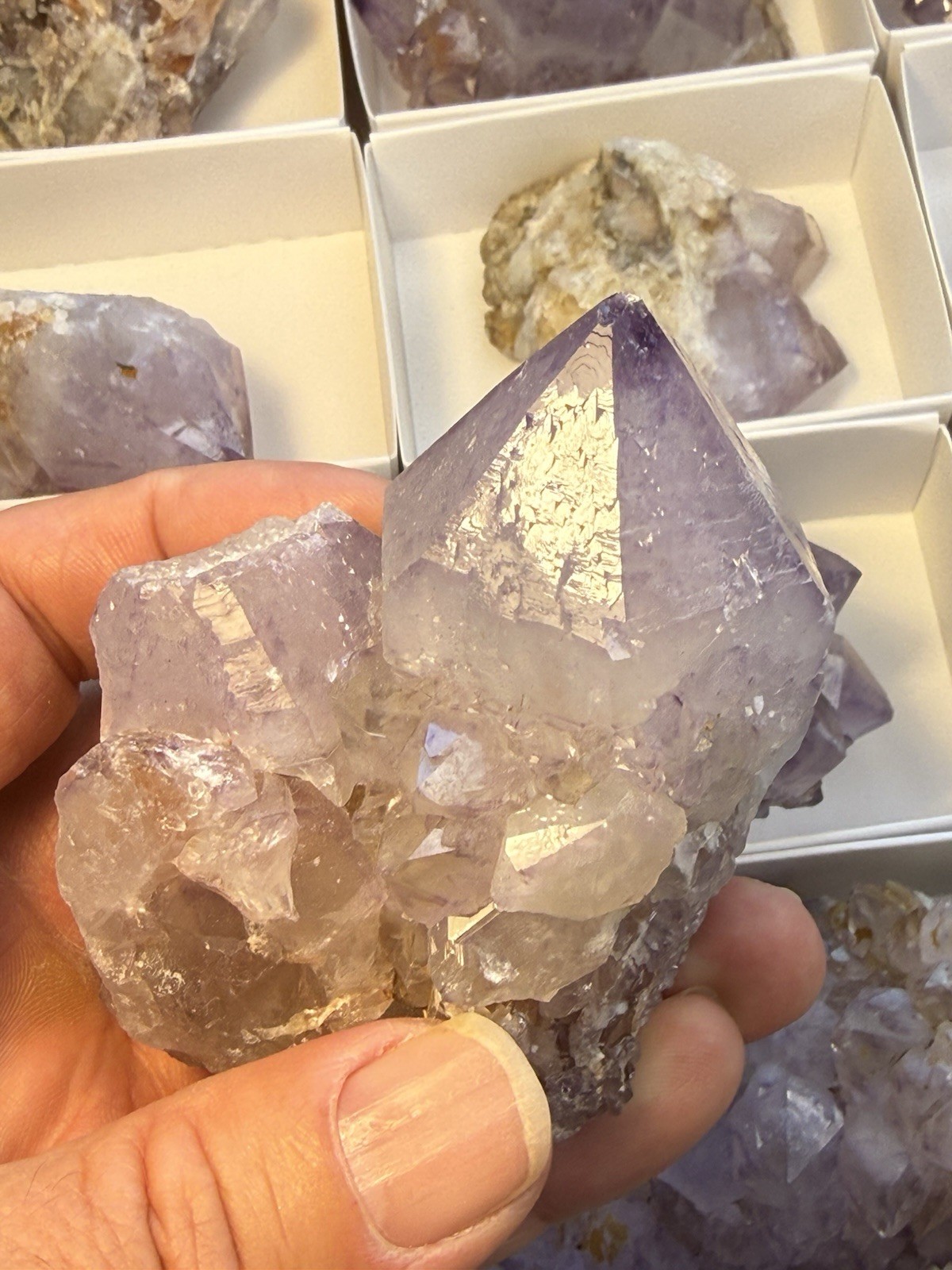Amethyst Crystal Specimen! Orange River South Africa Excellent Color Quality
