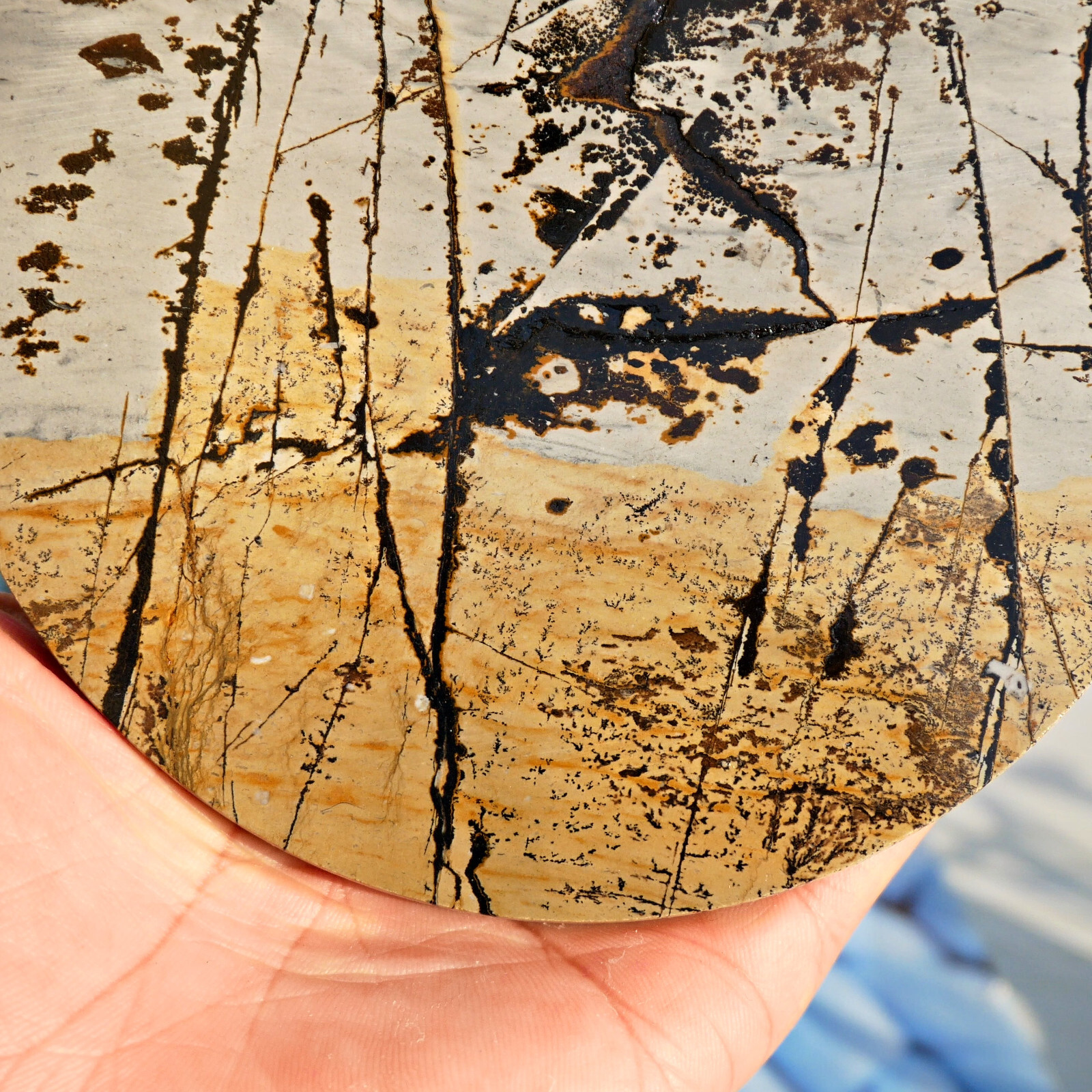 Picture Jasper Round Slice 5in Polished Landscape Stone Disc Display Shelf Decor