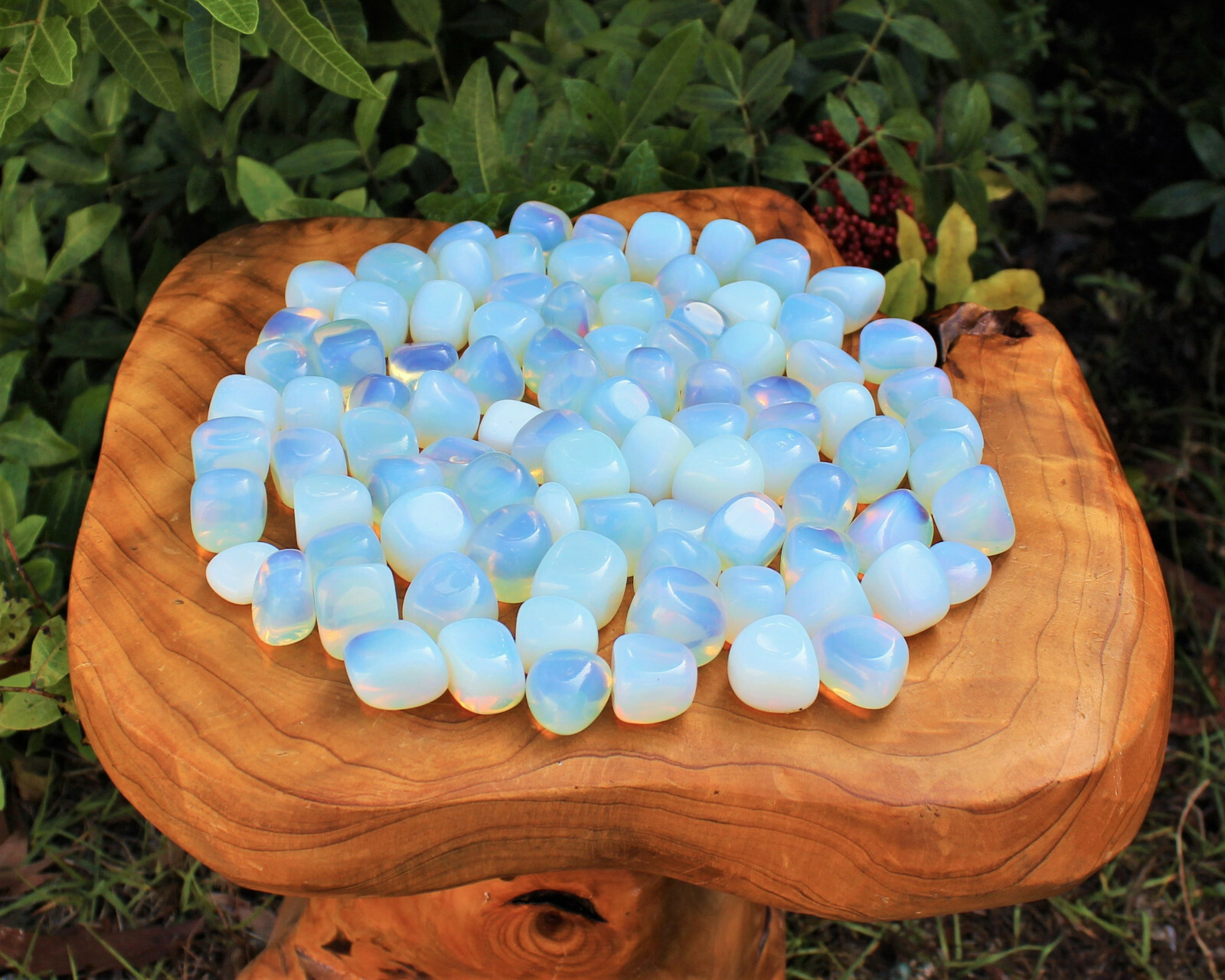 1/2 lb Bulk LARGE Opalite Tumbled Stone Crystal Healing Gemstone 8 oz