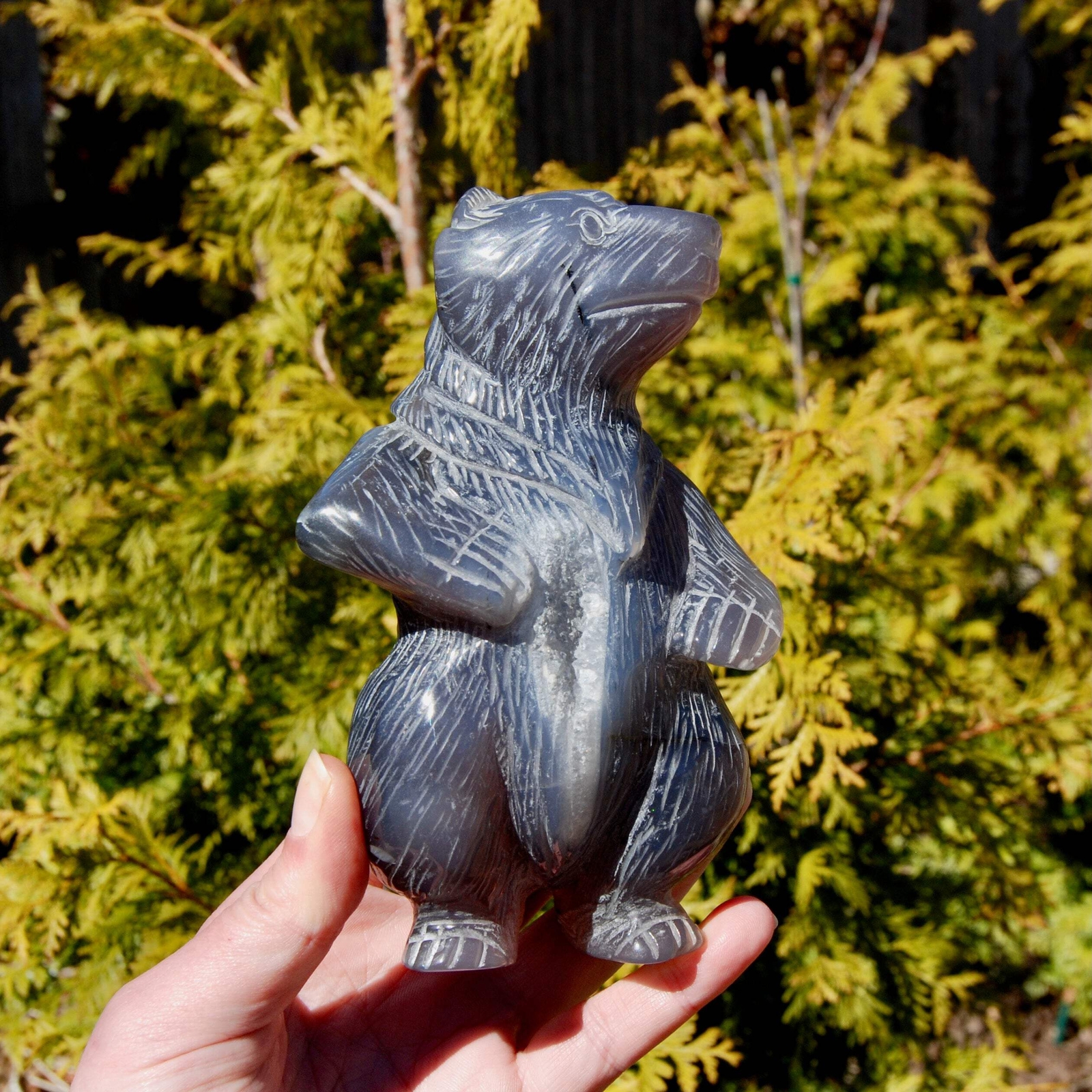 6in XL 1.9lb Agate Geode Carved Crystal Bear