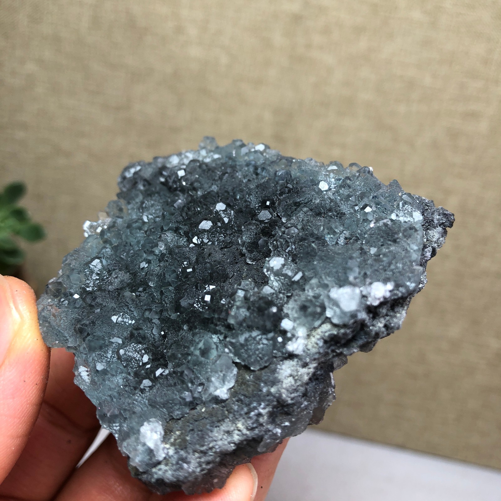 97g NATURAL Green Cubic FLUORITE Crystal Cluster Mineral Specimen A4736