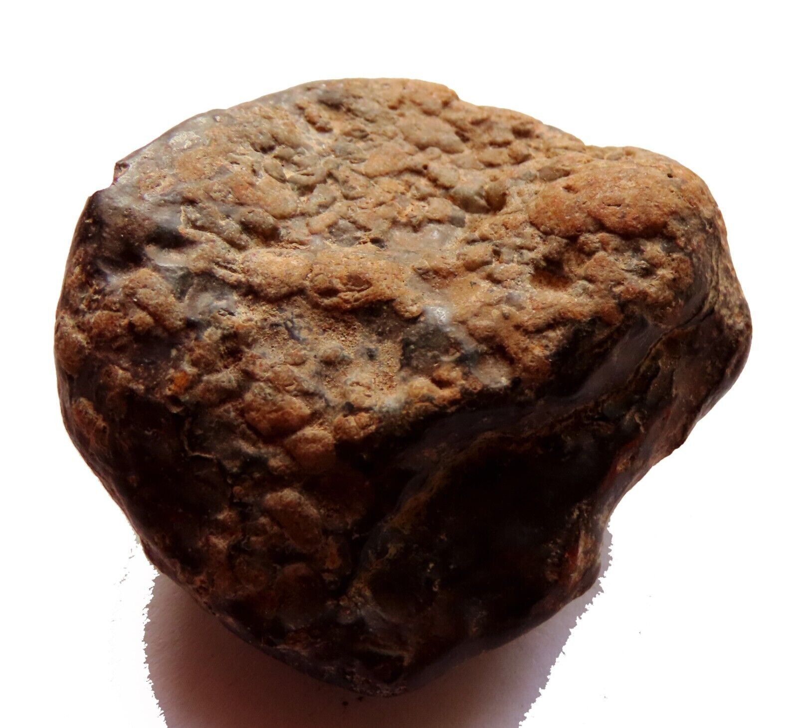 Meteorite @ 40 grs