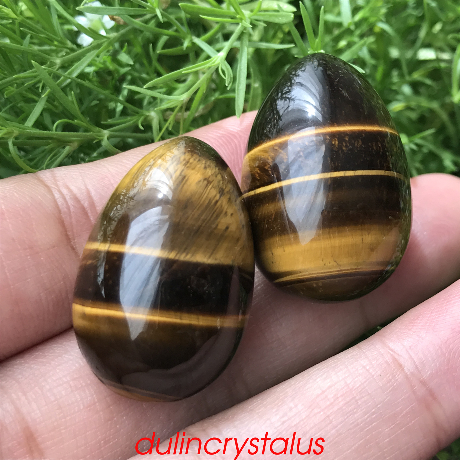 Natural tiger eye eggs quartz crystal pendant mineral samples reiki gem 10x