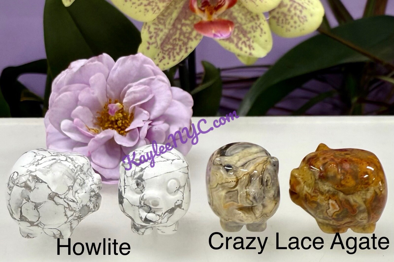Wholesale Lot 12 PCs 1” Natural Crystal Pig Healing Energy