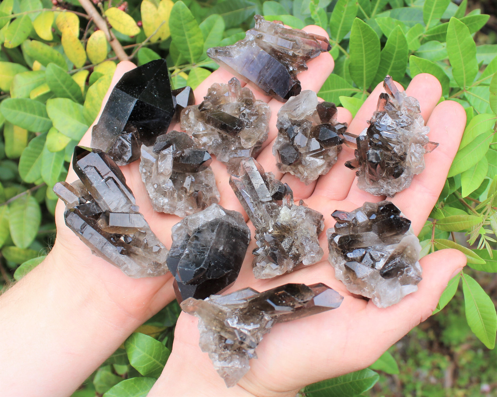 Smoky Quartz Crystal Clusters: 6-9 Piece Wholesale Bulk Box Lot (Smokey Quartz)