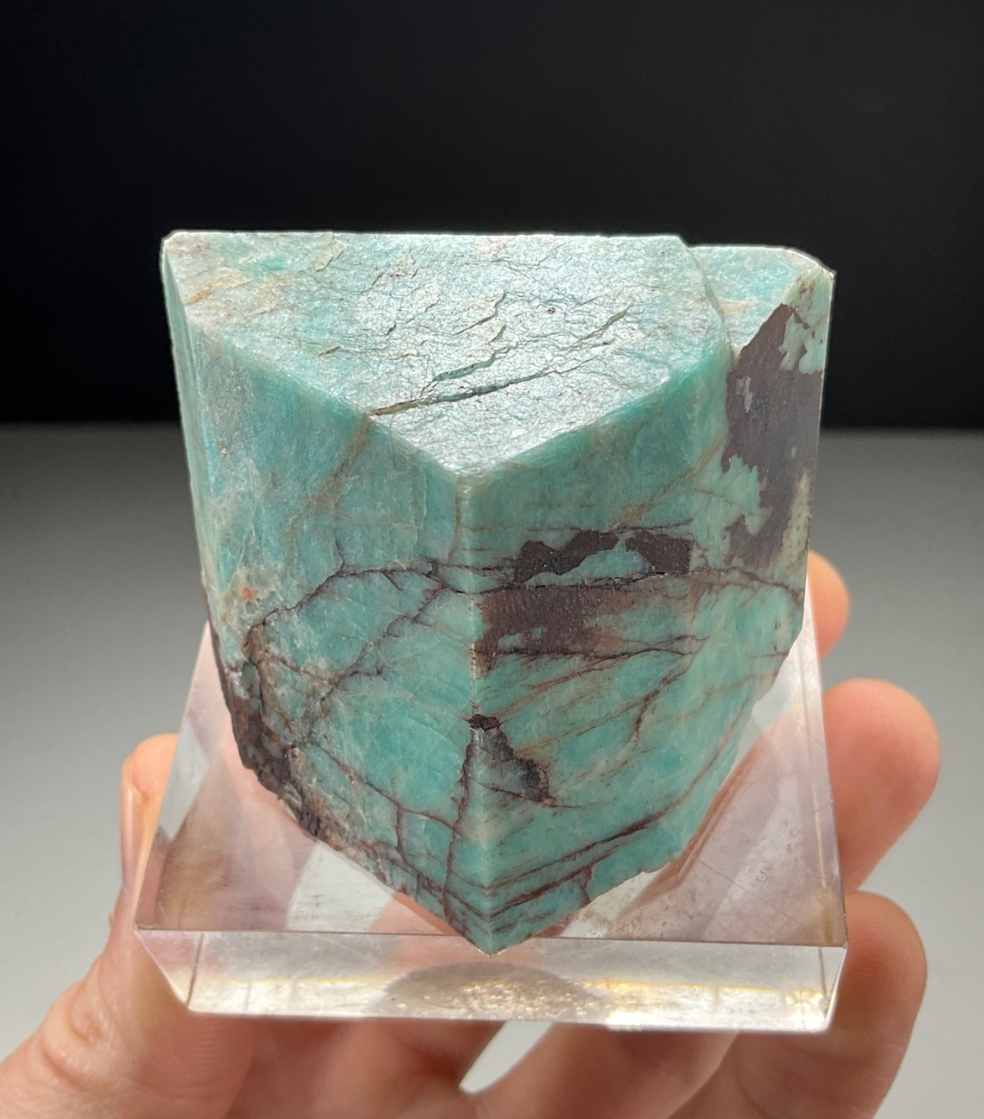 XL MICROCLINE VAR. AMAZONITE FROM LAKE GEORGE, COLORADO