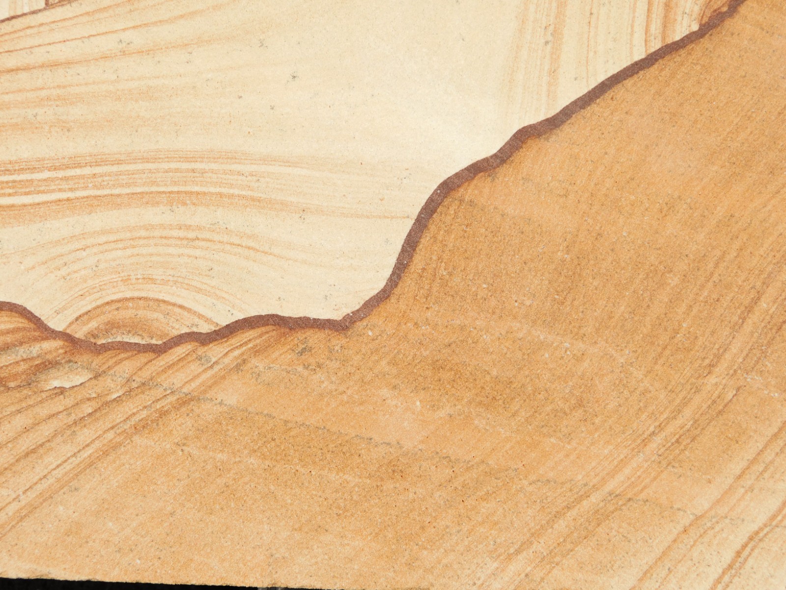 PICTURE Stone or SANDSTONE Slab with Display Stand From Utah 241gr