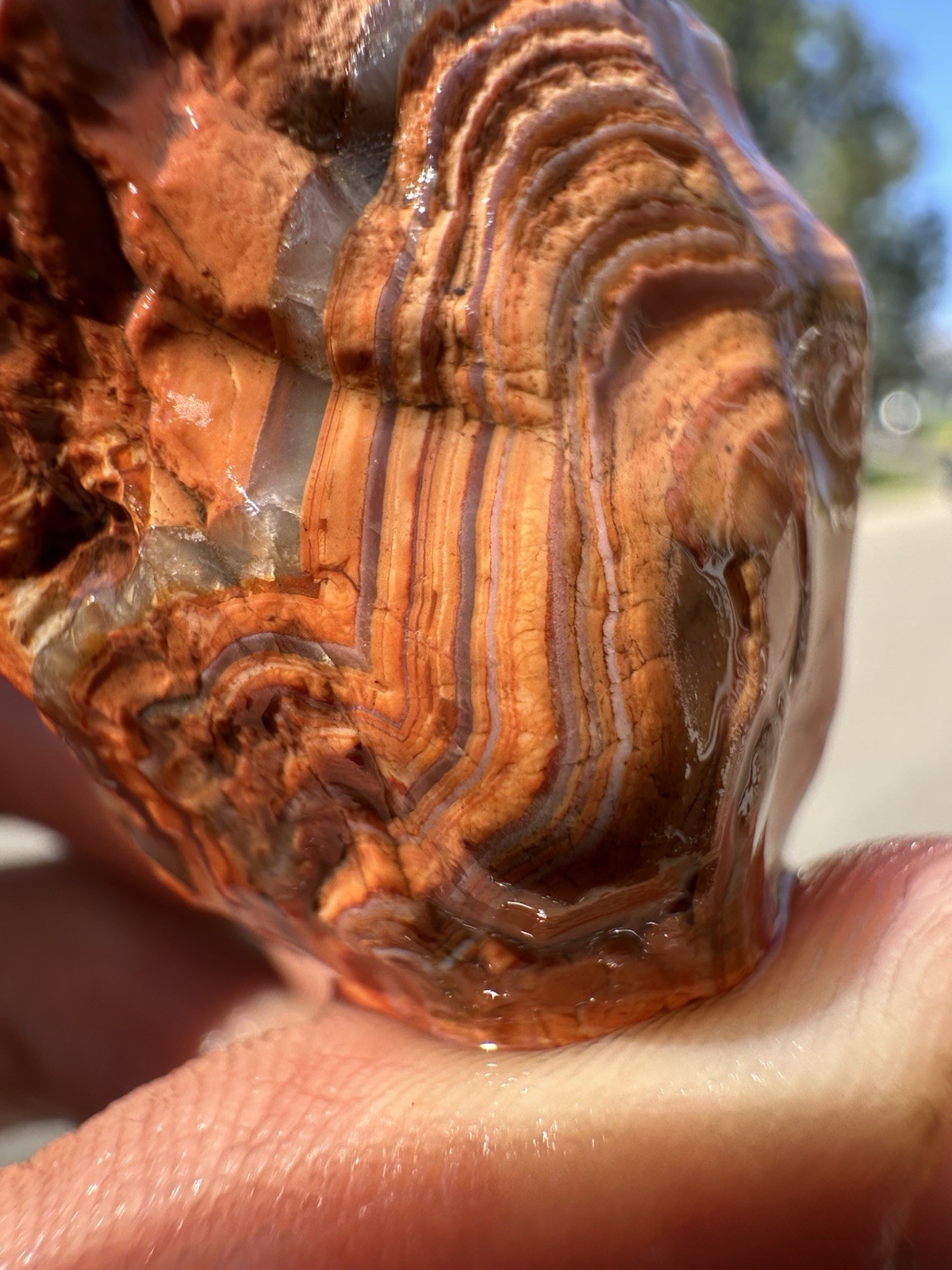 1.45 oz Lake Superior Agate Rare Chalky Opaque Fire Canyon Paint Agate (DEAL)