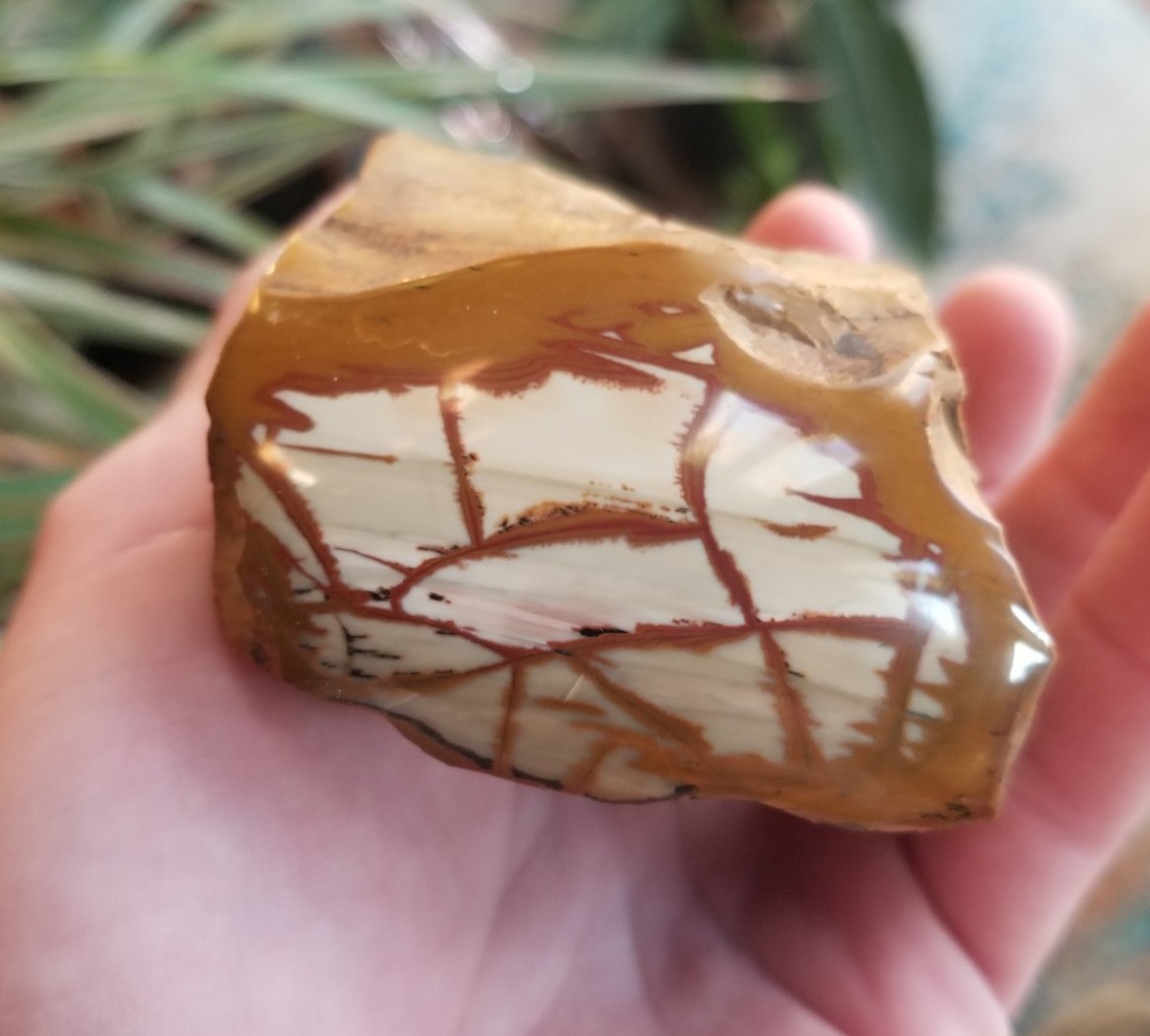 Nice End Polished Gem Grade Owyhee Picture Jasper Specimen 13.5oz Oregon Display