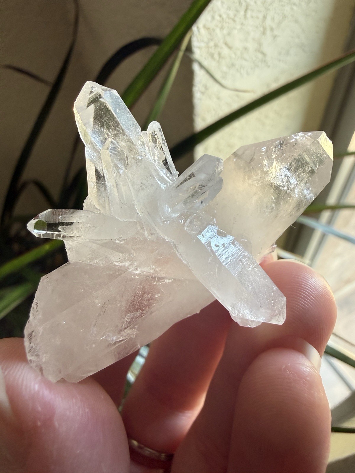 High Quality Diamantina Lemurian Quartz Cluster With DT Point Crystal Brazil