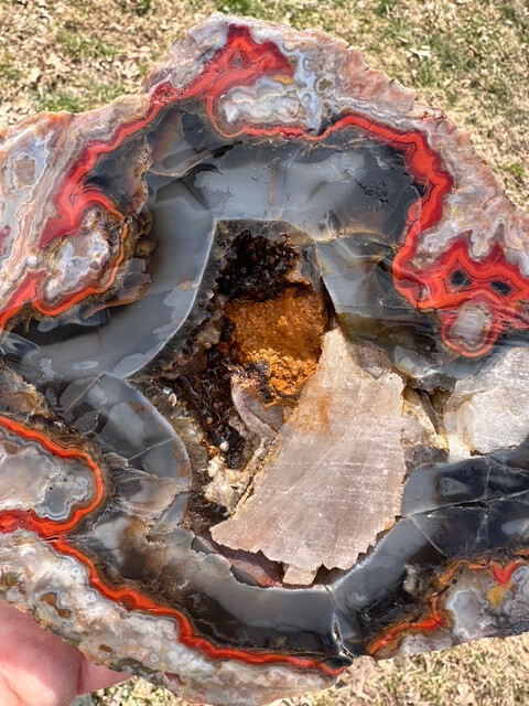 8 1/8”__Beautiful Imperial Kentucky Agate Slab from Estill County