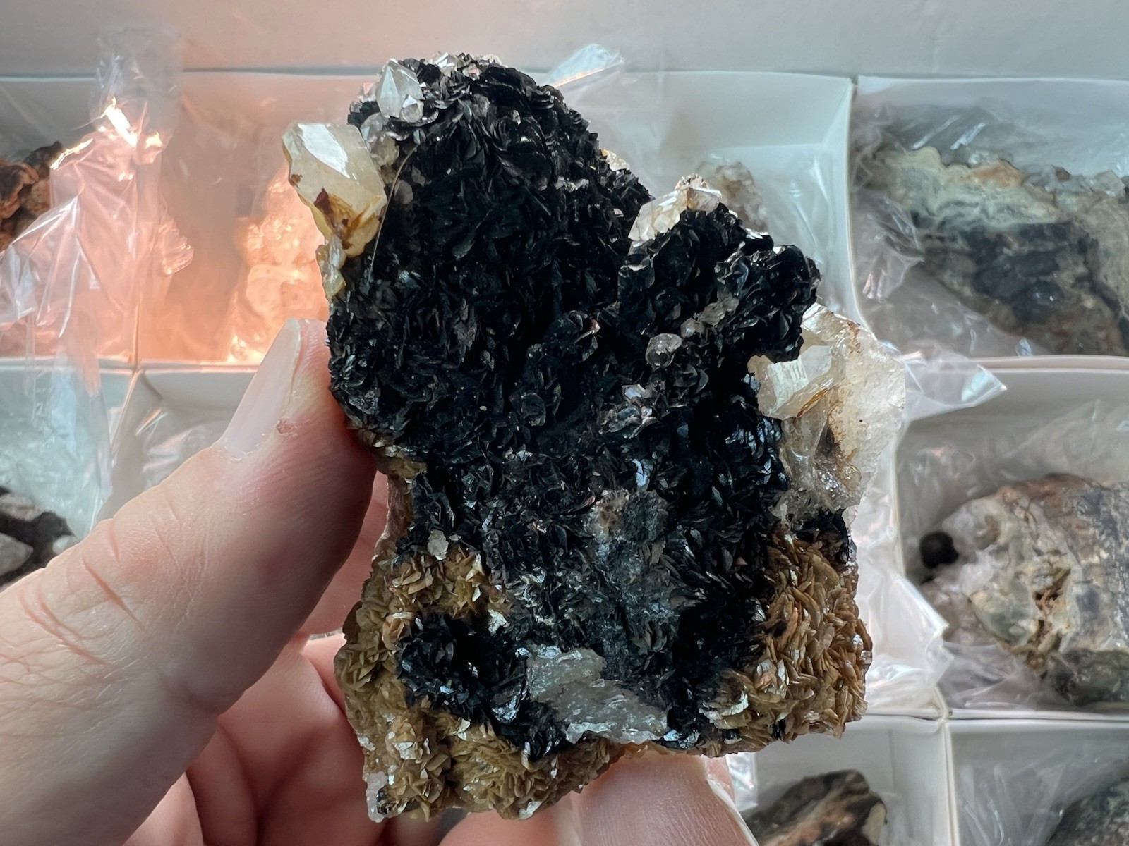 12 Quartz & Siderite Specimens – Potosí Mine, Santa Eulalia, Chihuahua, Mexico