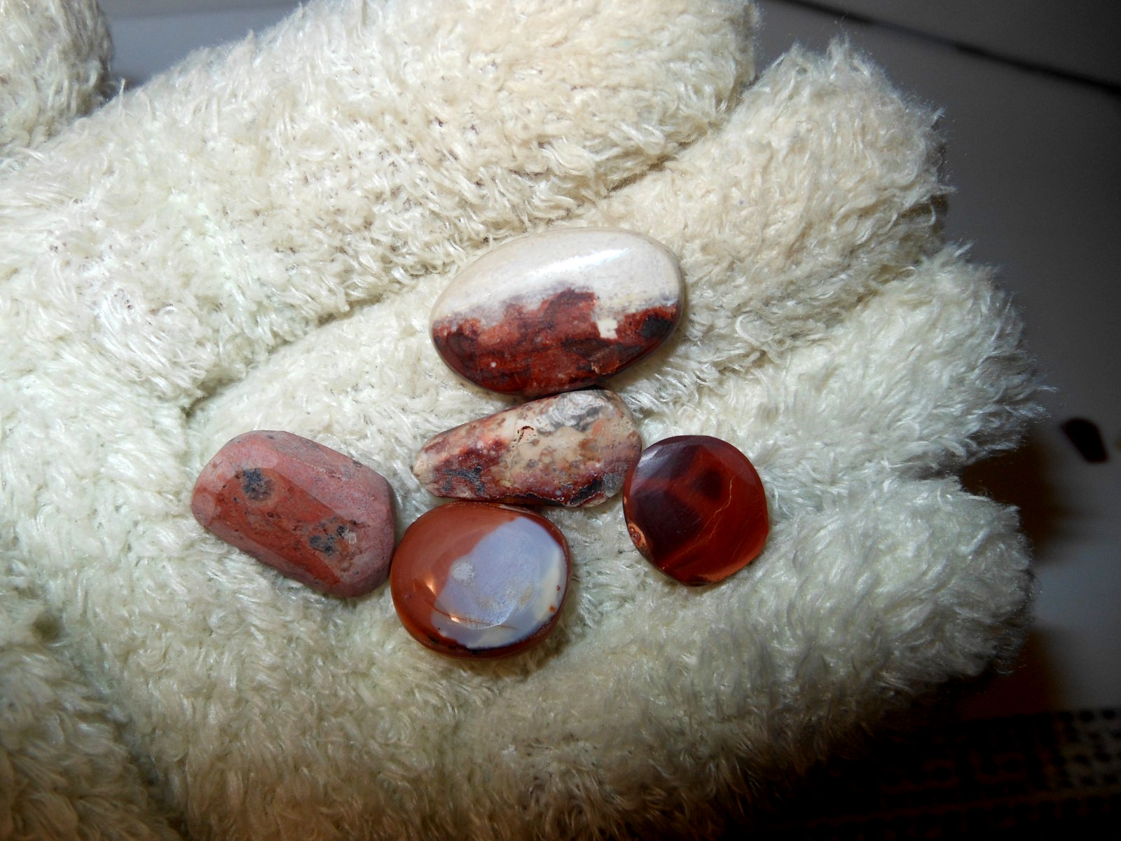 5 pieces of Mexican Fire Opal Lapidary Rough 46.65tcw Freeform