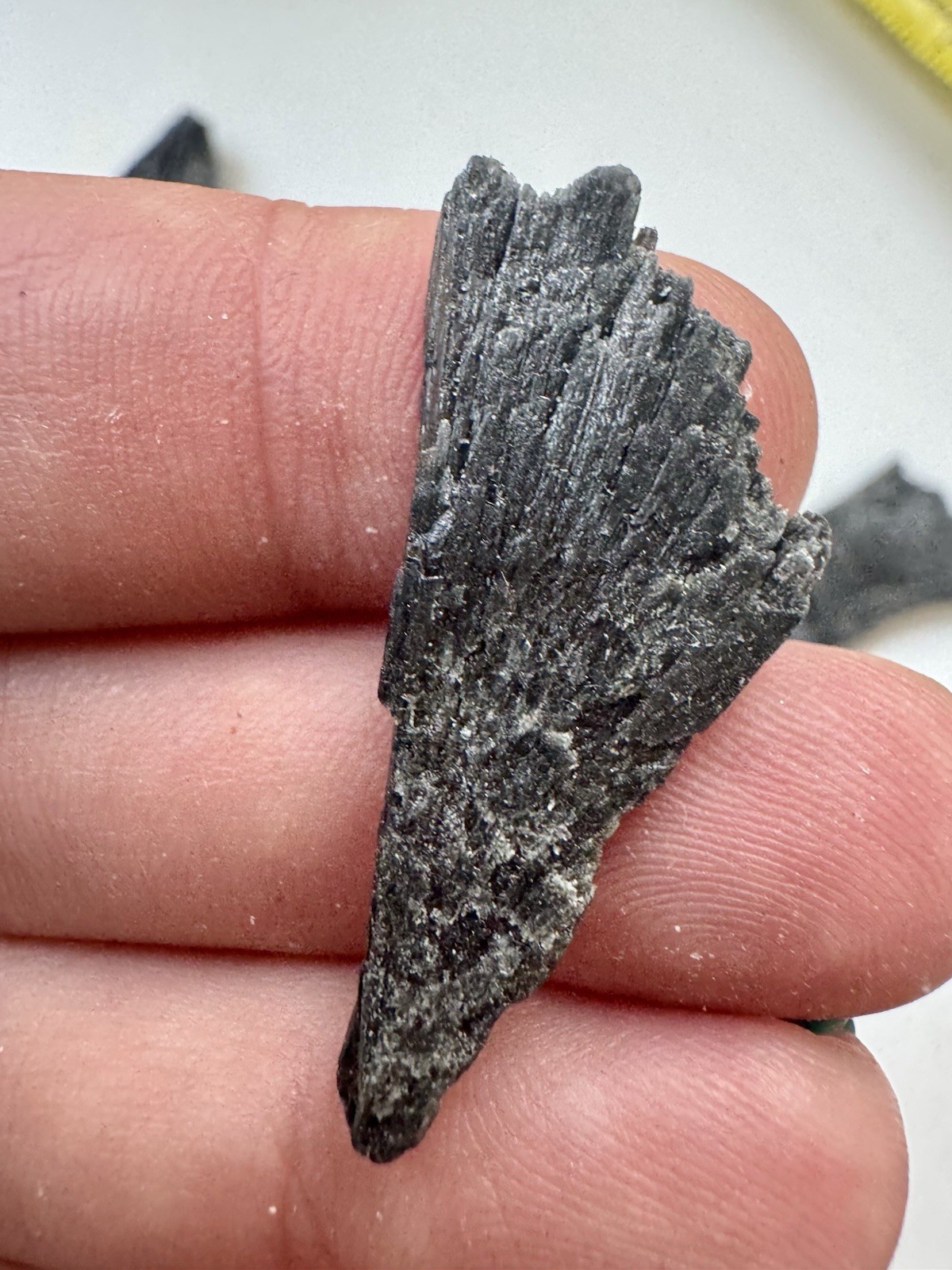 5 Pieces If Black Kyanite 36 Grams