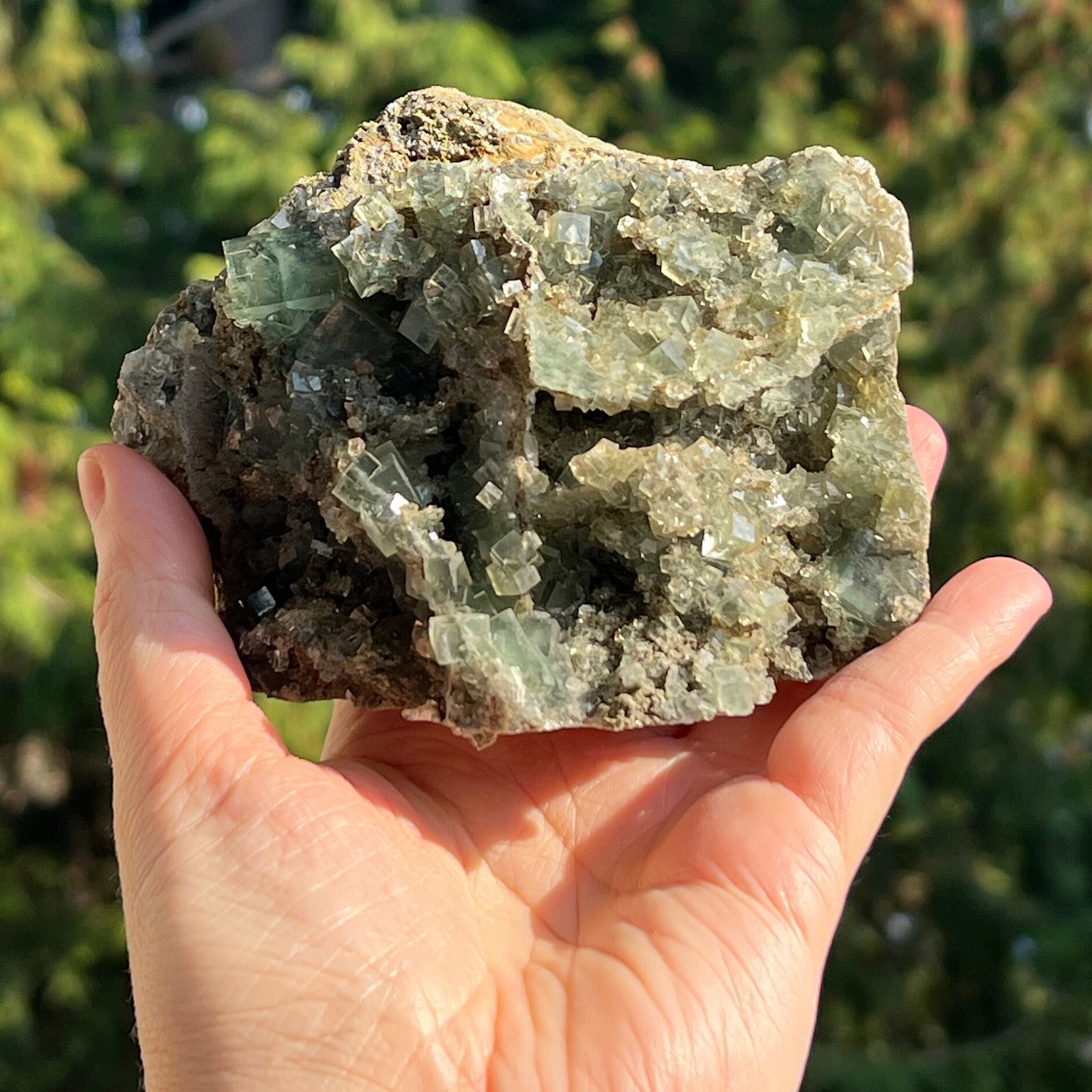 Xianghualing Fluorite Cubes on Matrix – from Hunan, China
