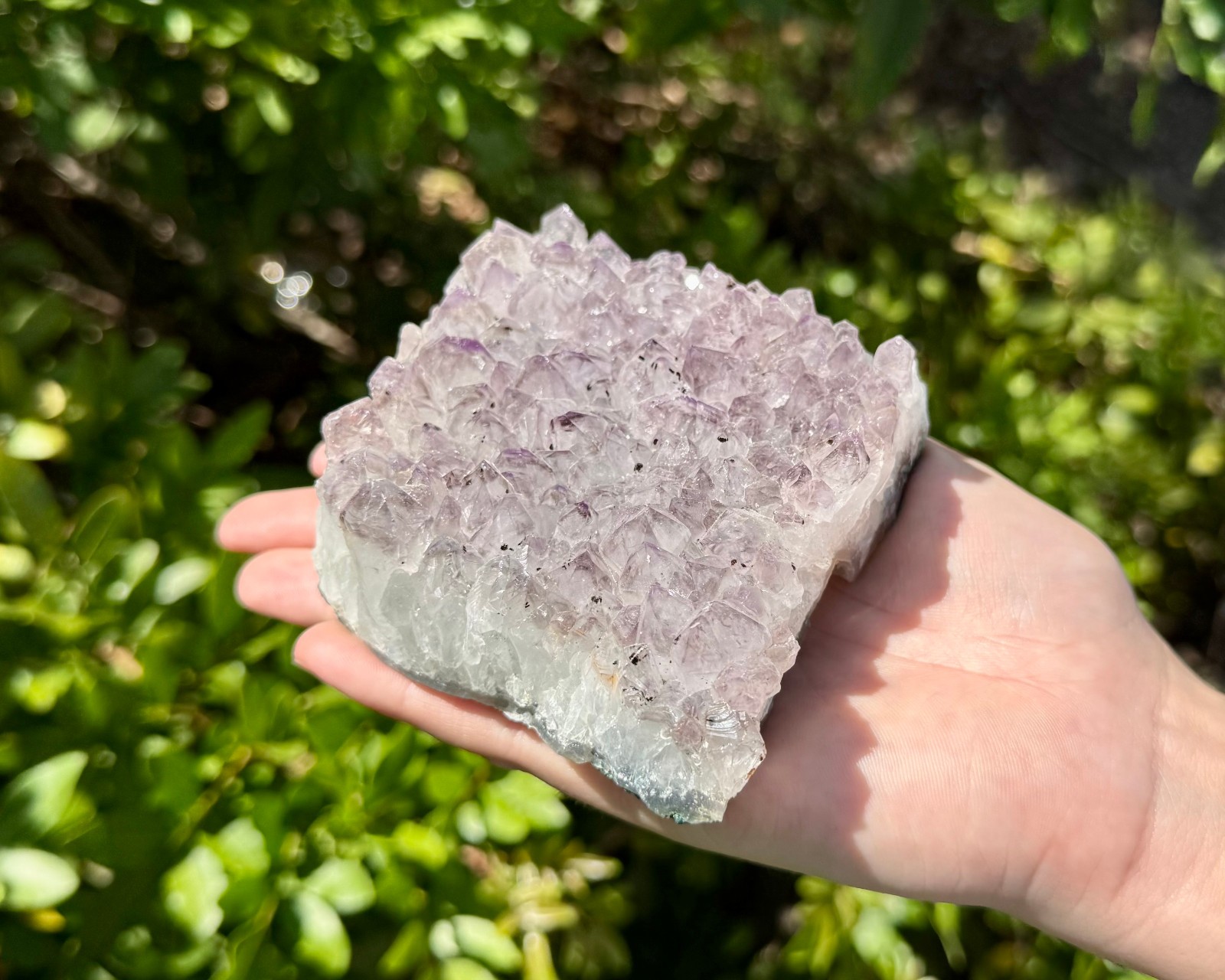 Clearance Amethyst Crystal Clusters – Natural ‘B’ Grade Cluster Druze Specimens