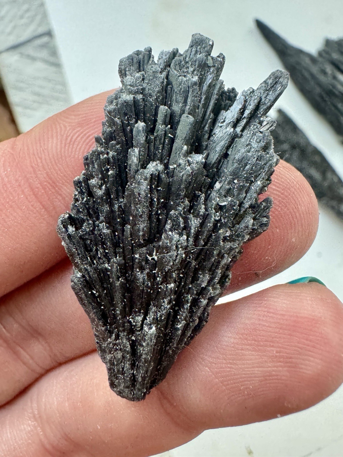 5 Pieces If Black Kyanite 36 Grams