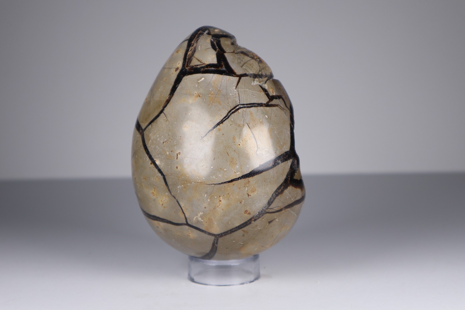 Huge Septarian Dragon Egg 4.3lb Calcite Crystal Cave Fossil Shell Display Stone