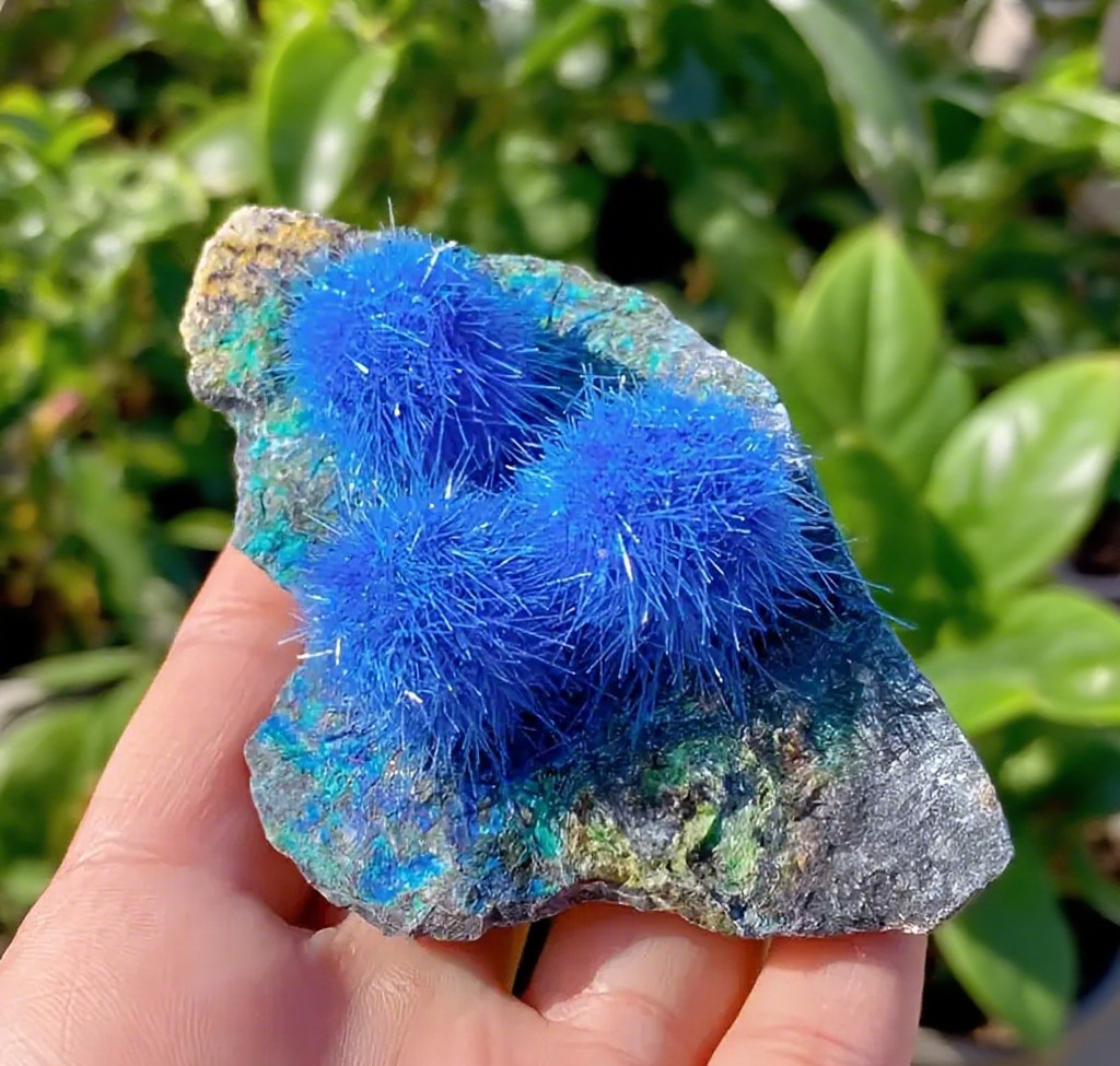 50-80g Blue Dandelion Zeolite Quartz Crystal Healing Cluster Mineral Specimen