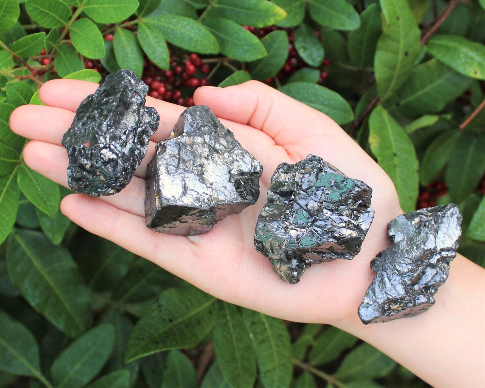 Elite Shungite Wholesale Lots – Natural Noble Shungite Crystals (EMF Protection)