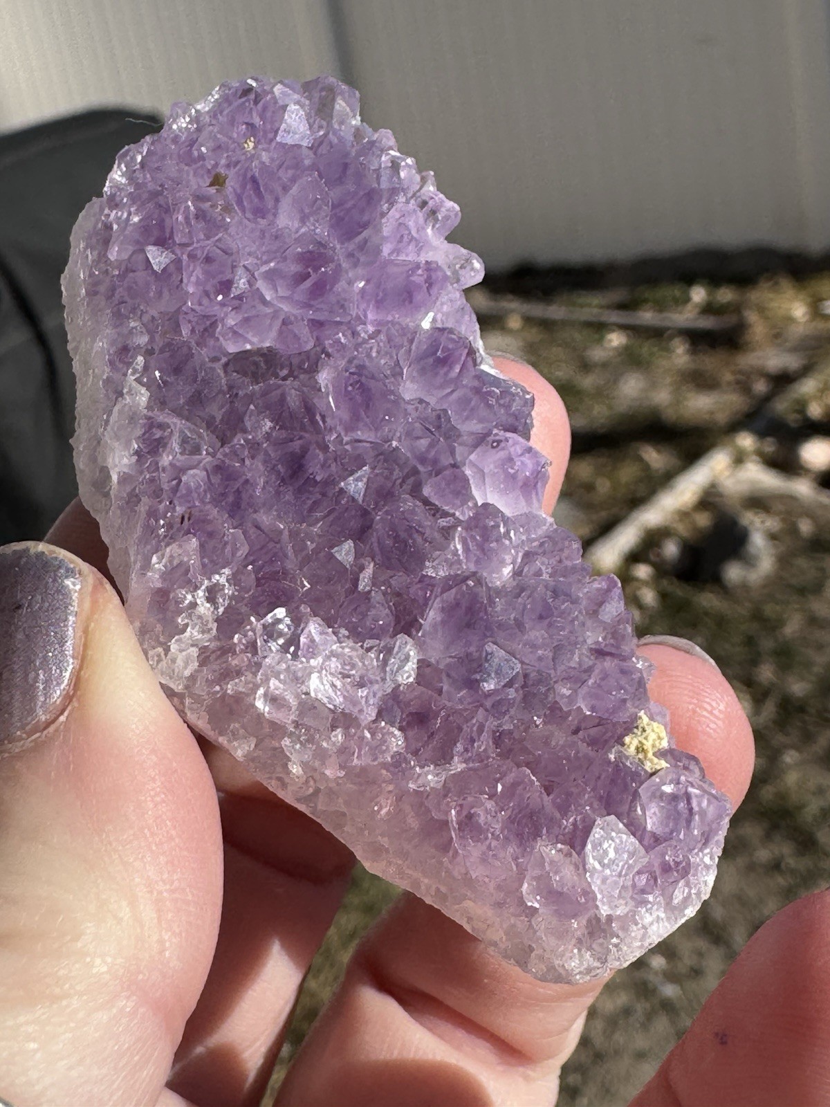 ✨Amazing African Amethyst Cluster