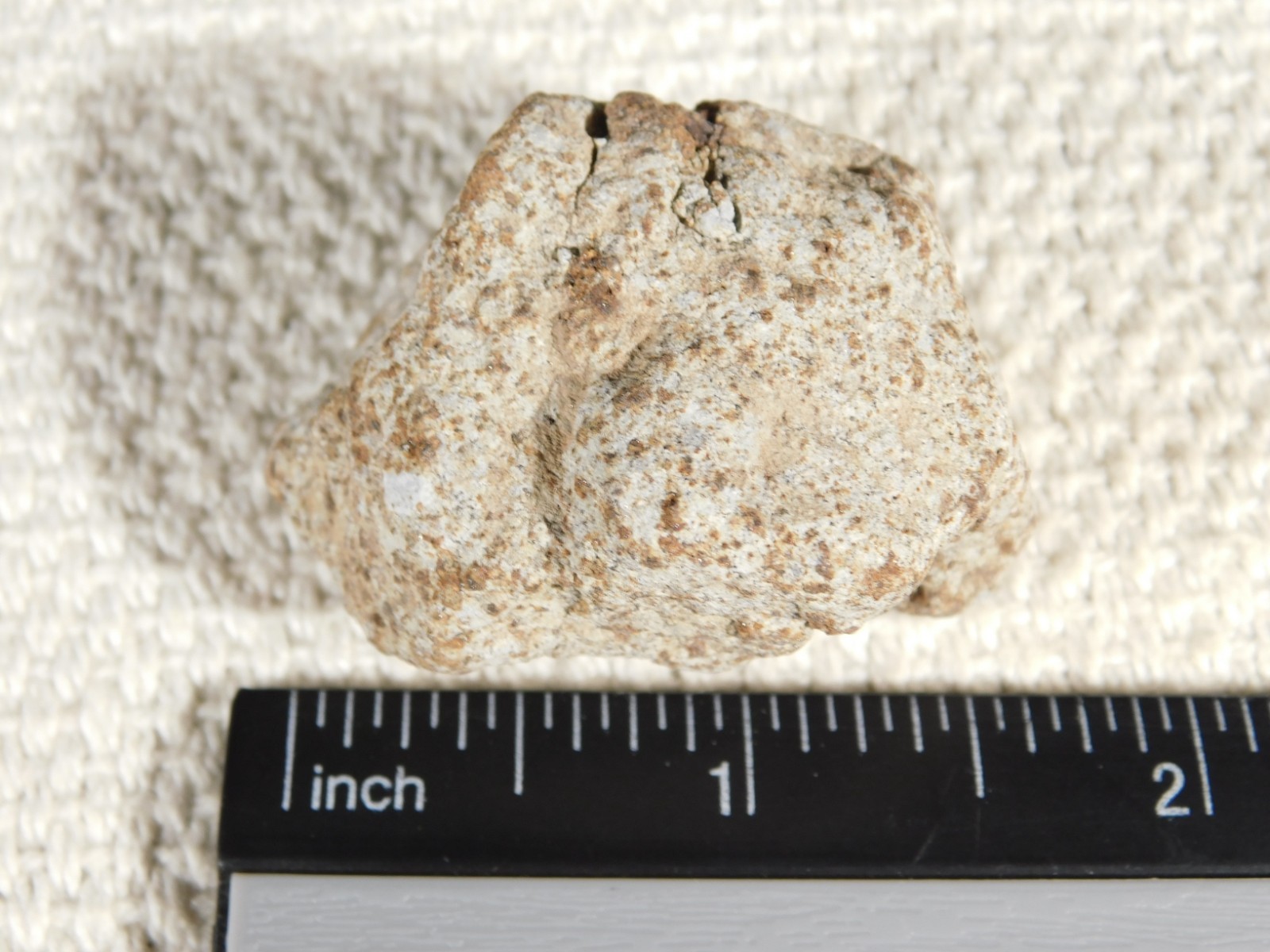Classified NWA 8245 METEORITE Spots of Dark Fusion Crust! Erfoud, Morocco 52.8gr