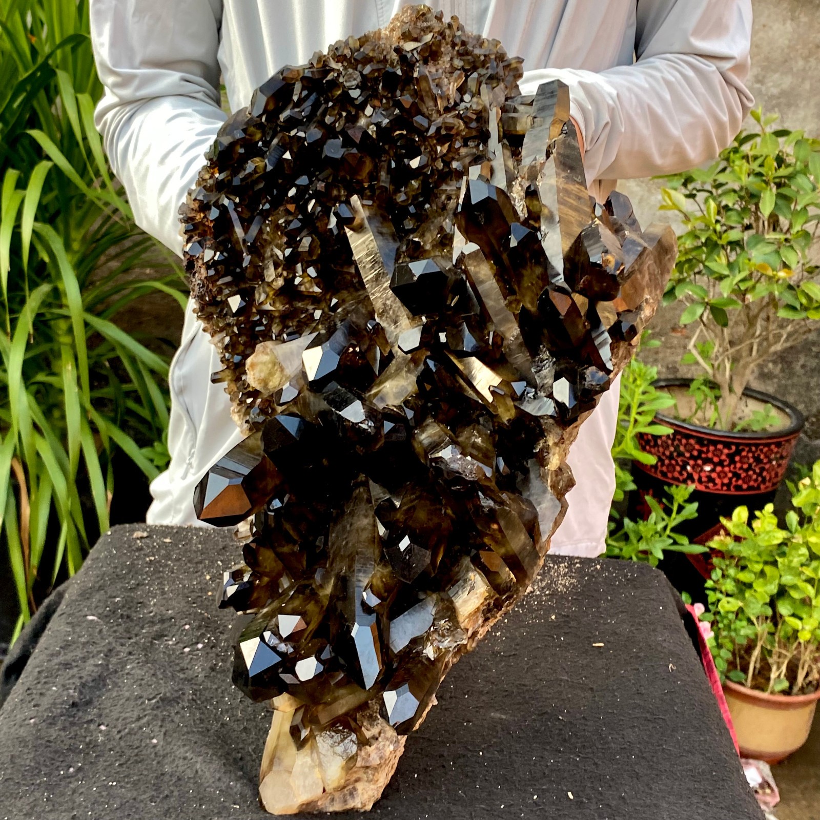 40.43LB Large Natural Black Smoky Quartz Crystal Cluster Raw Mineral Specimen