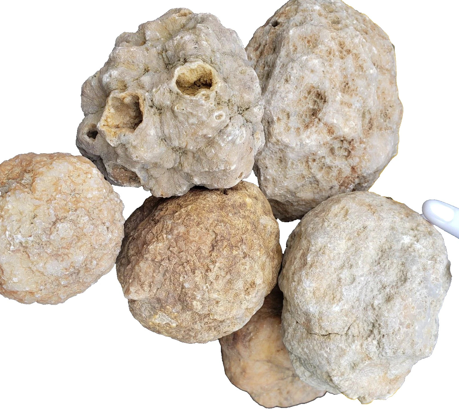 9 lb Kentucky Geode Lot of 14 – Rattler Included – Crack Your Own Crystals
