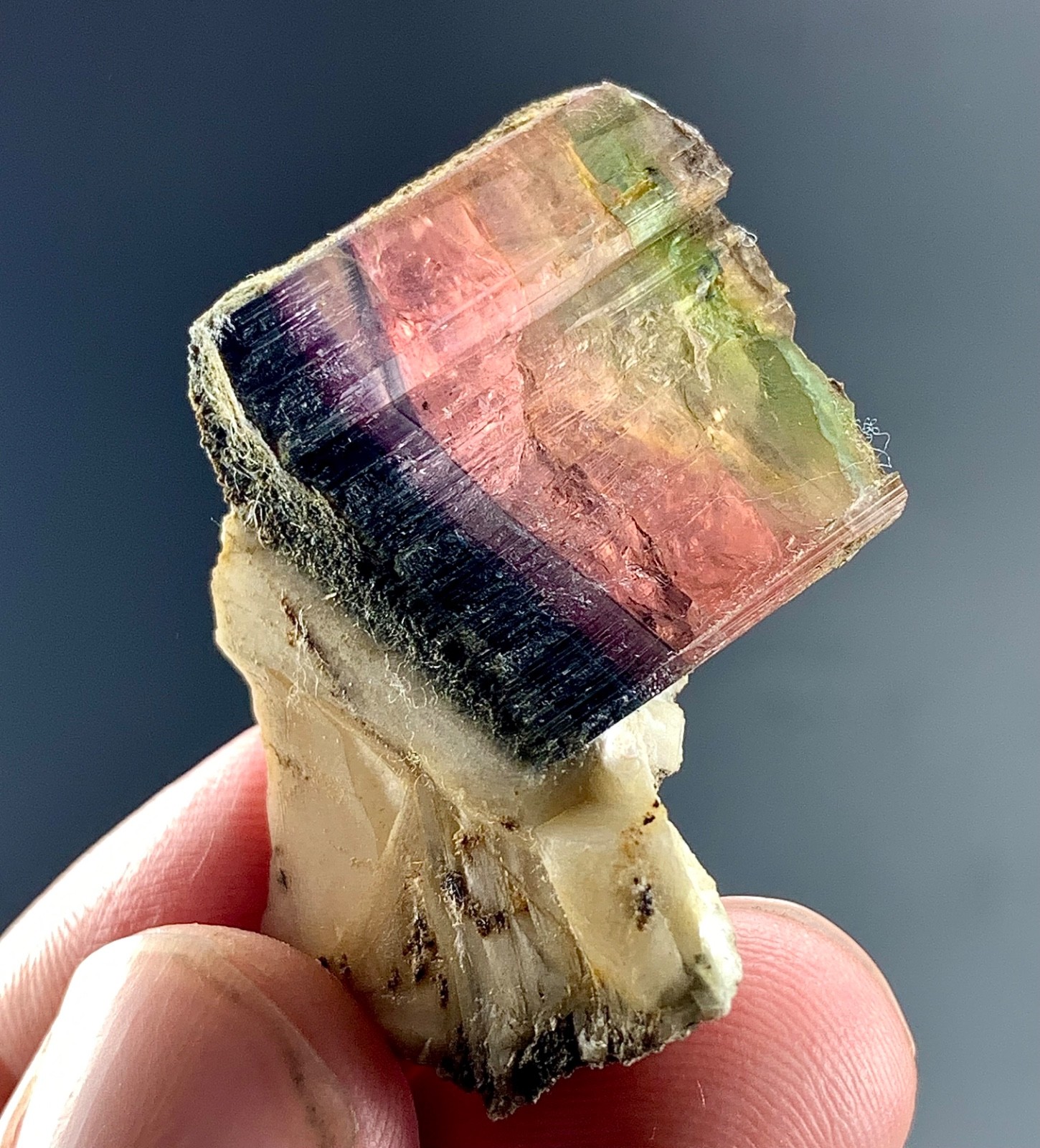 Natural Multicolor Tourmaline Crystal specimen from Afghanistan | 58 CTs