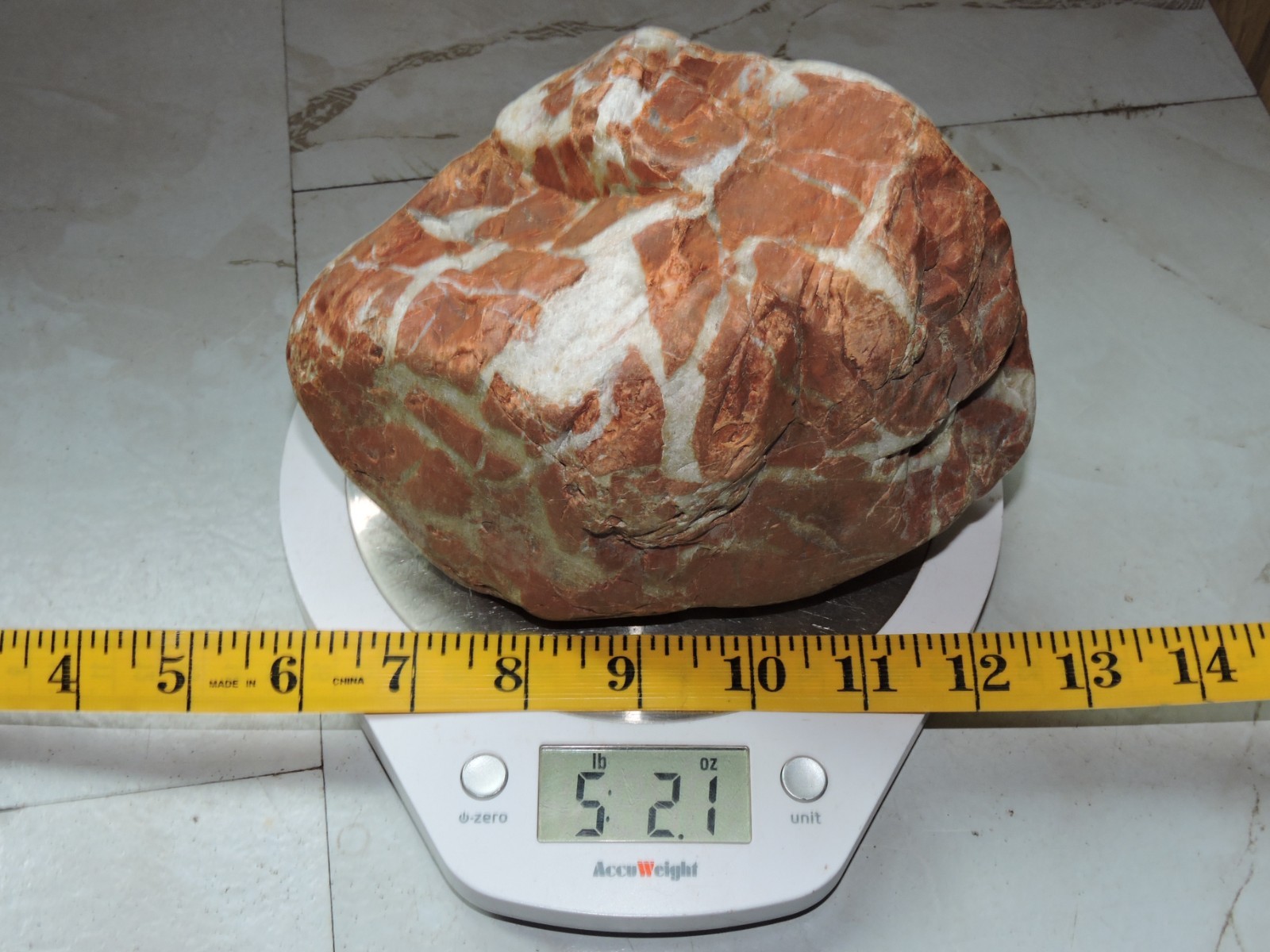 High Grade Whole OREGON Marbled Jasper Nodule (5Lb+) ORANGE Brecciated Jaspagate